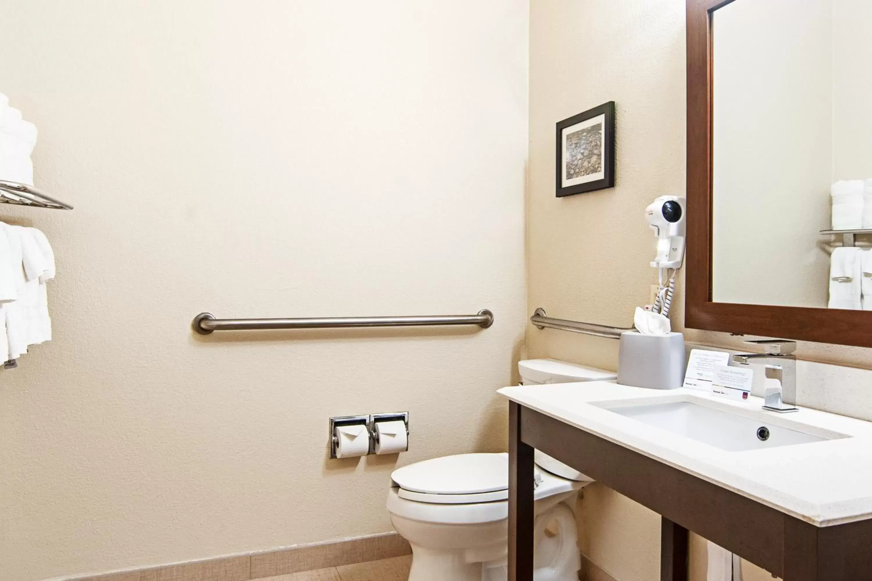 King Suite - Disability Access/Non-Smoking in Comfort Suites NW Dallas Near Love Field