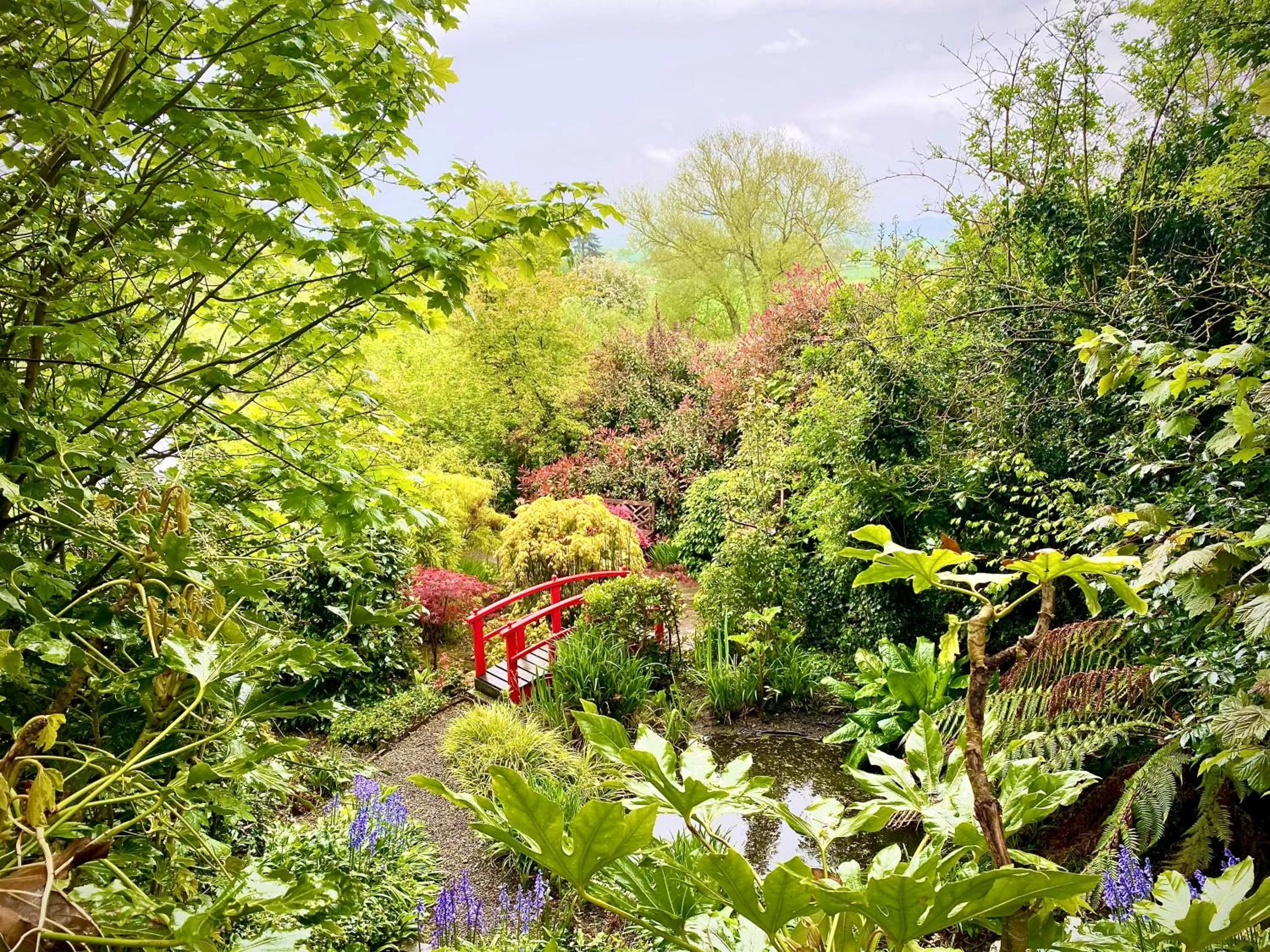 Garden view in Old Hall Cressage