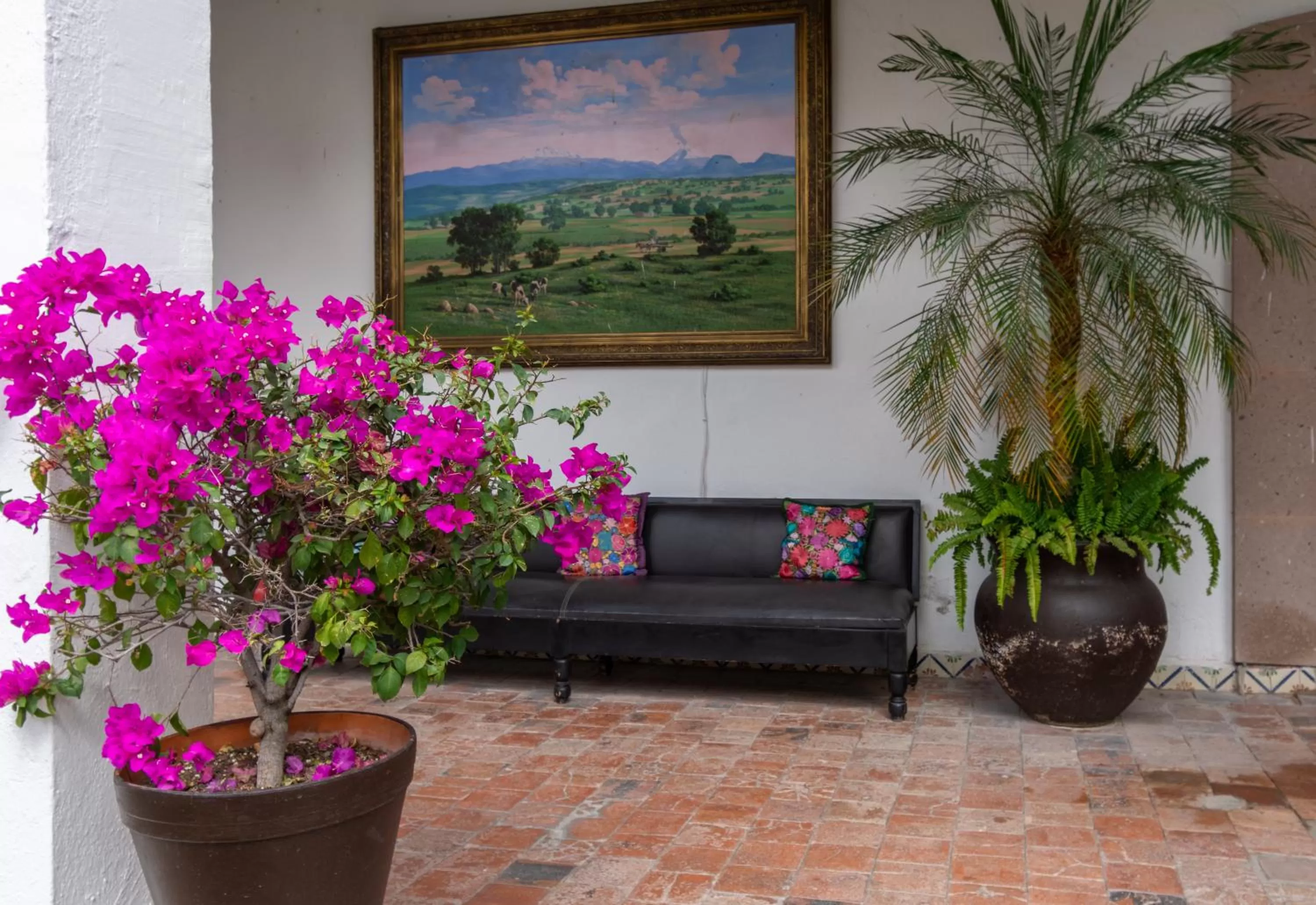 Garden in Hotel Hacienda San Cristóbal