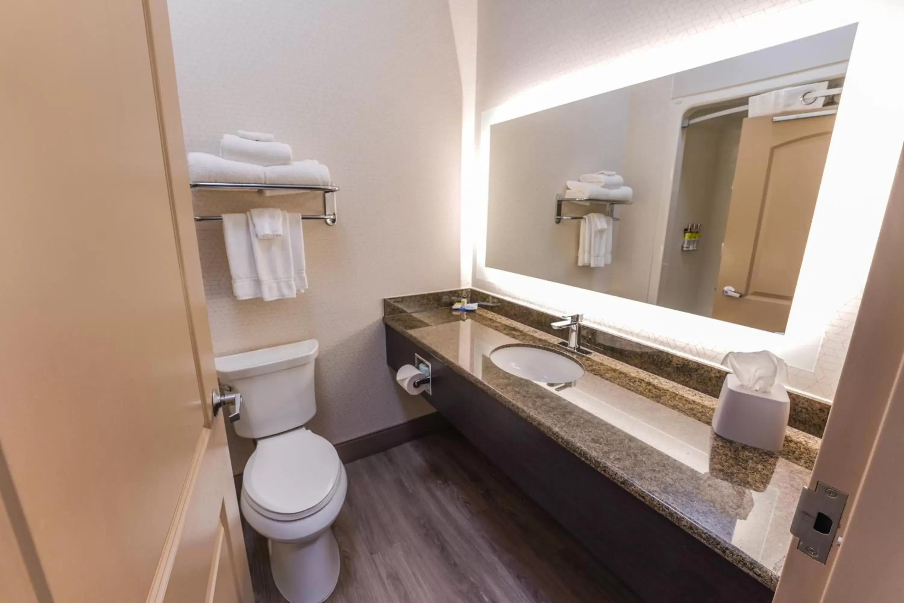 Toilet, Bathroom in Holiday Inn Express and Suites Springfield Medical District, an IHG Hotel