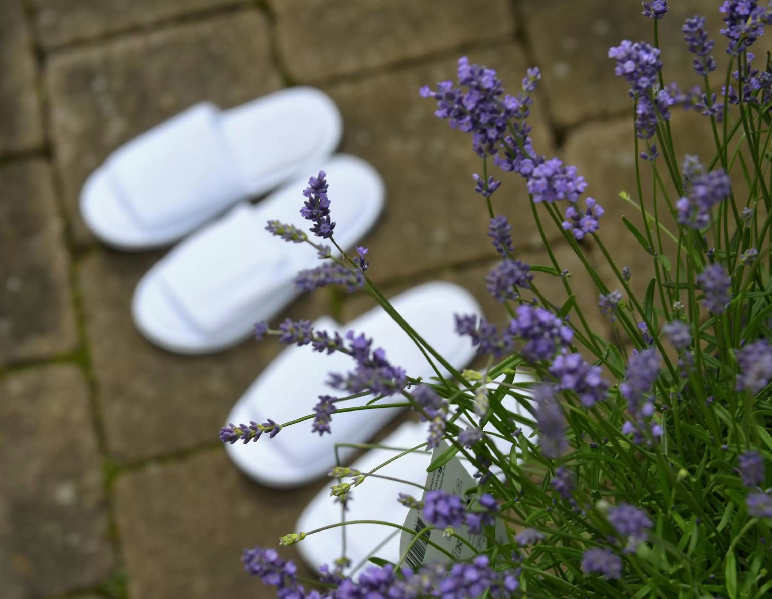 Property building in Huskvarna Stadshotell