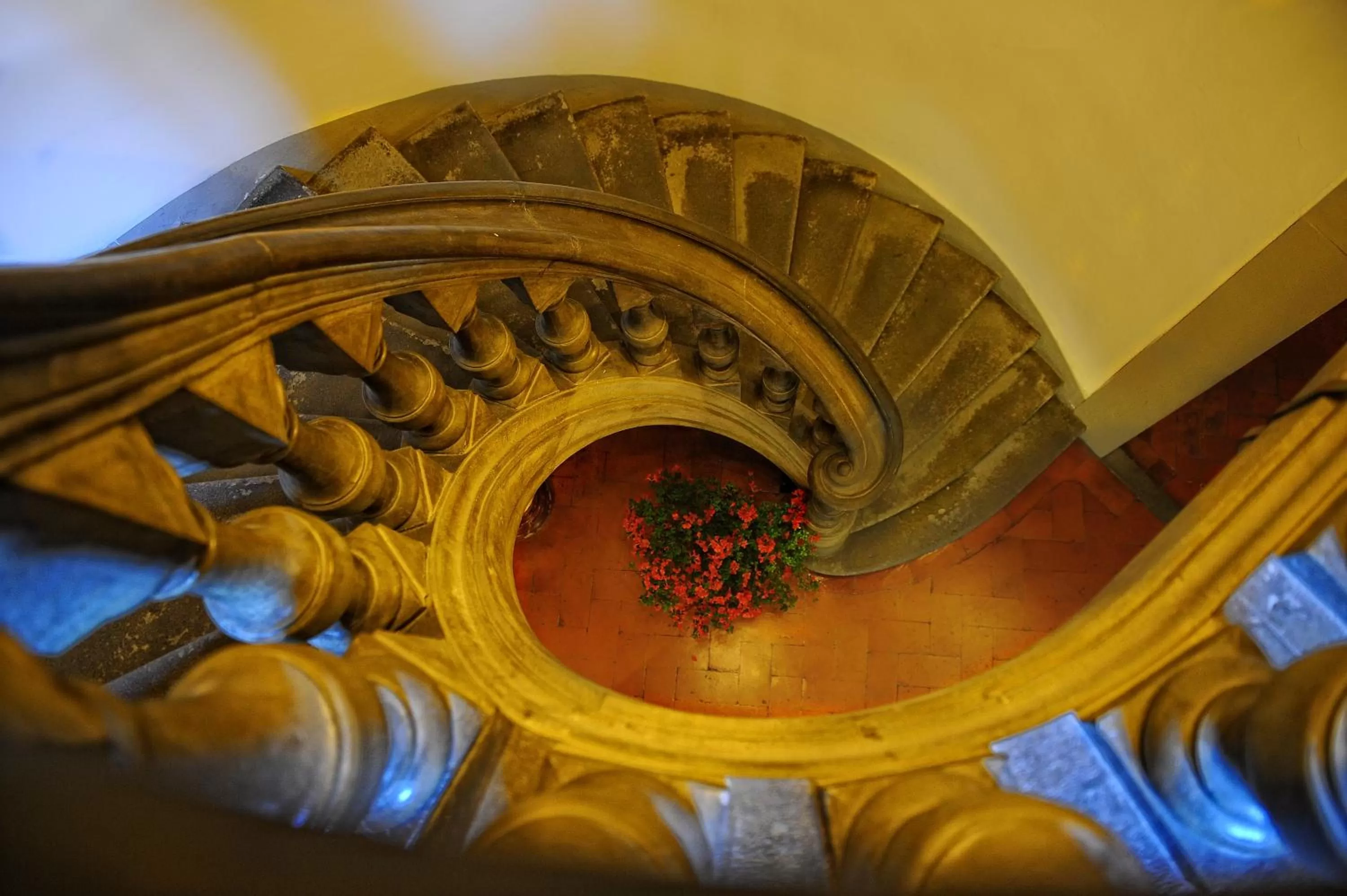 Other, Food in Hotel Monna Lisa