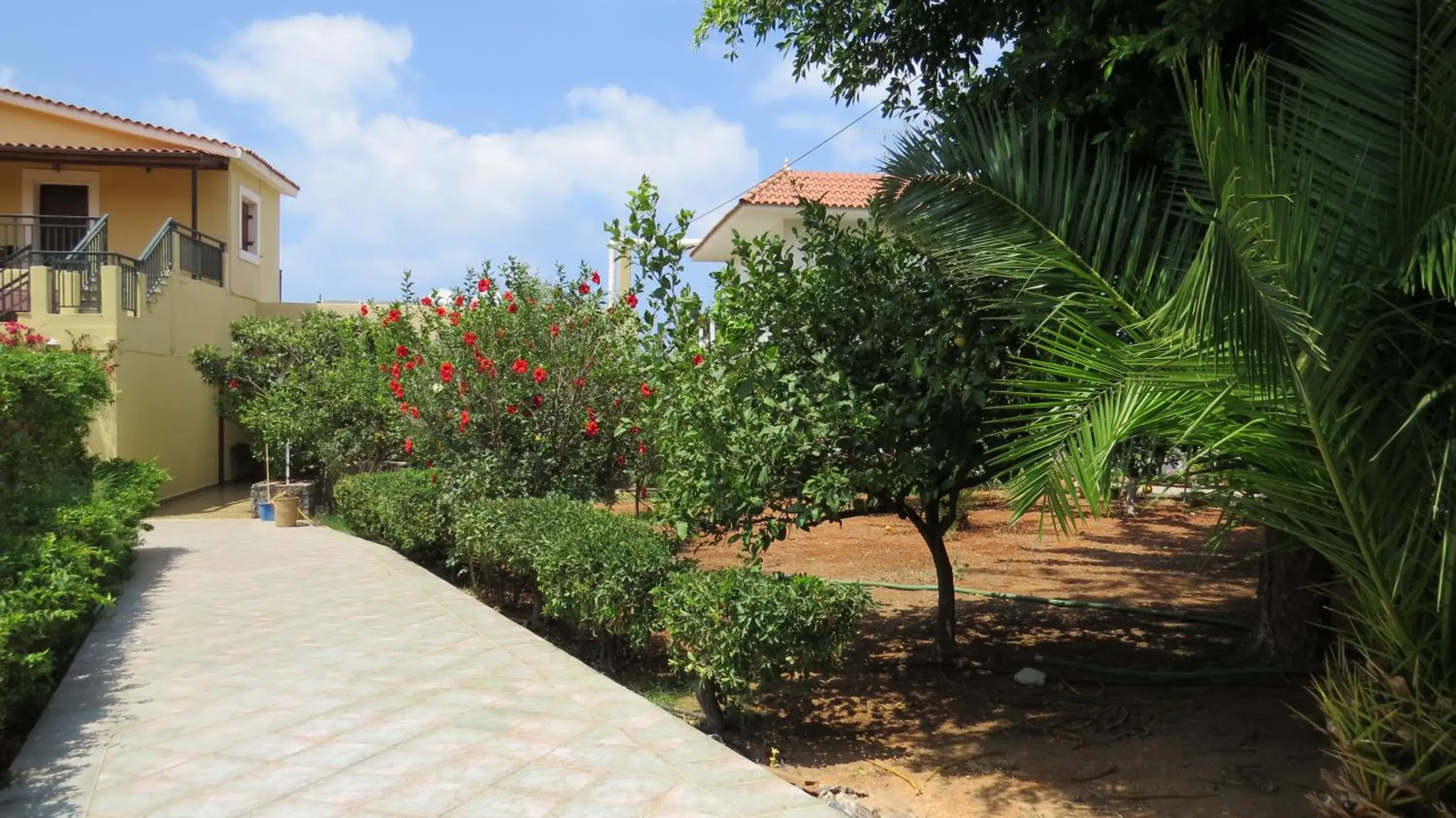 Garden in Medusa Villa