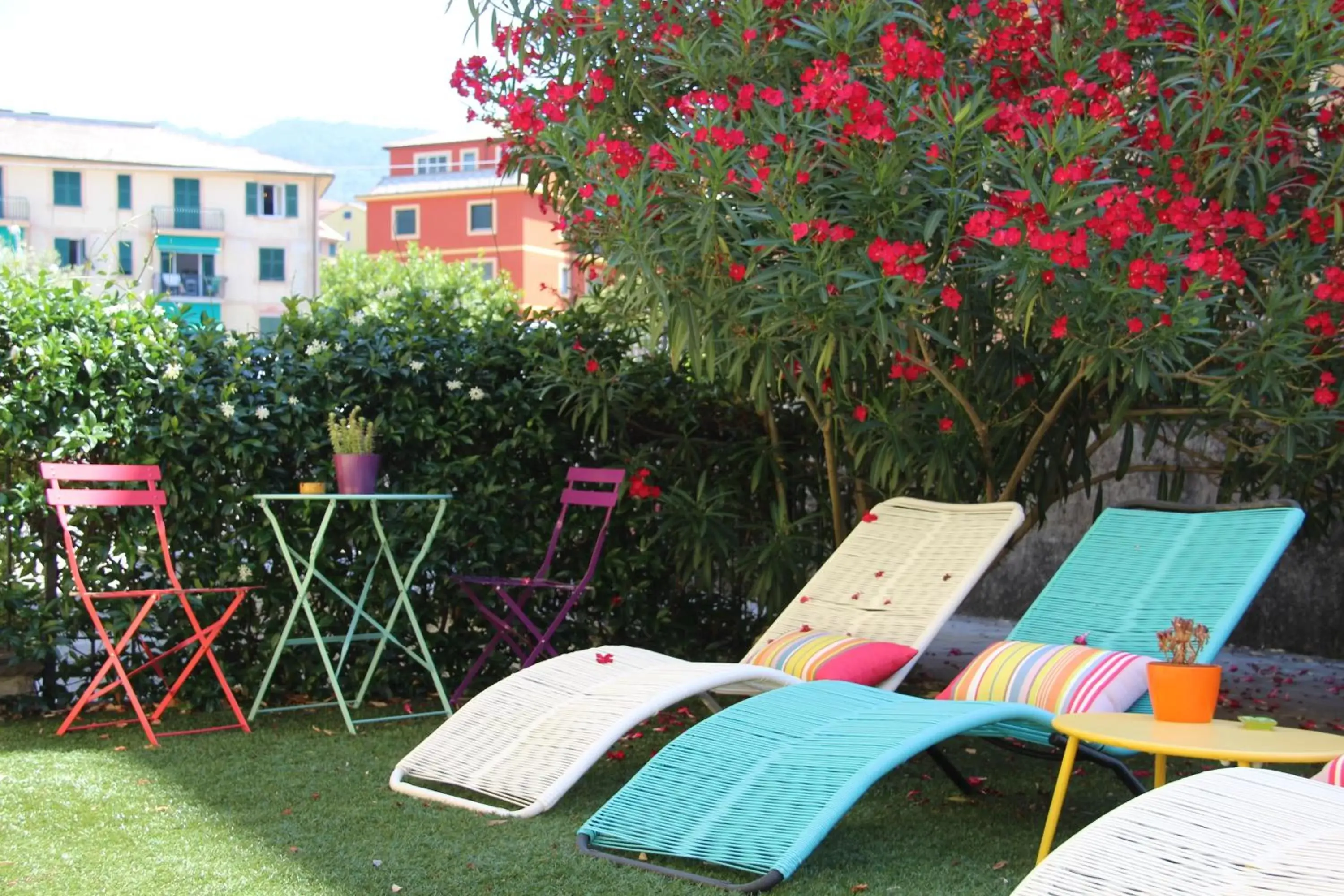 Patio in Oasi Hotel