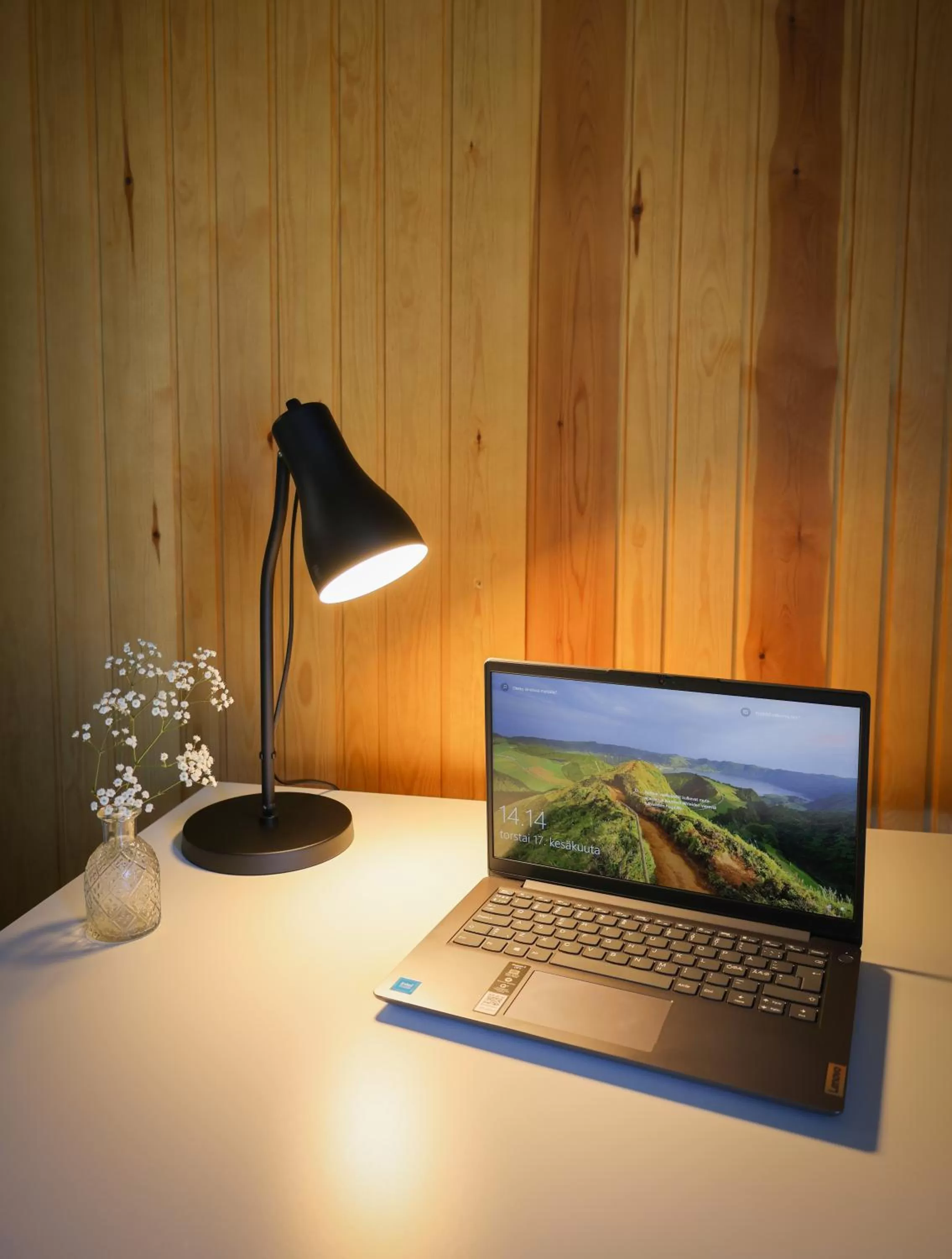 TV and multimedia in Park Hotel Liminka