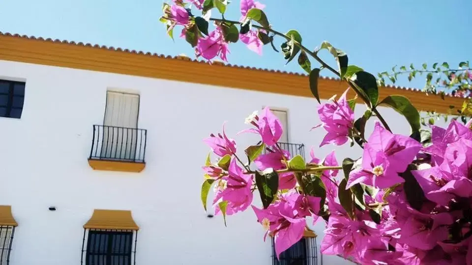 Property building, Balcony/Terrace in Hotel Andalou