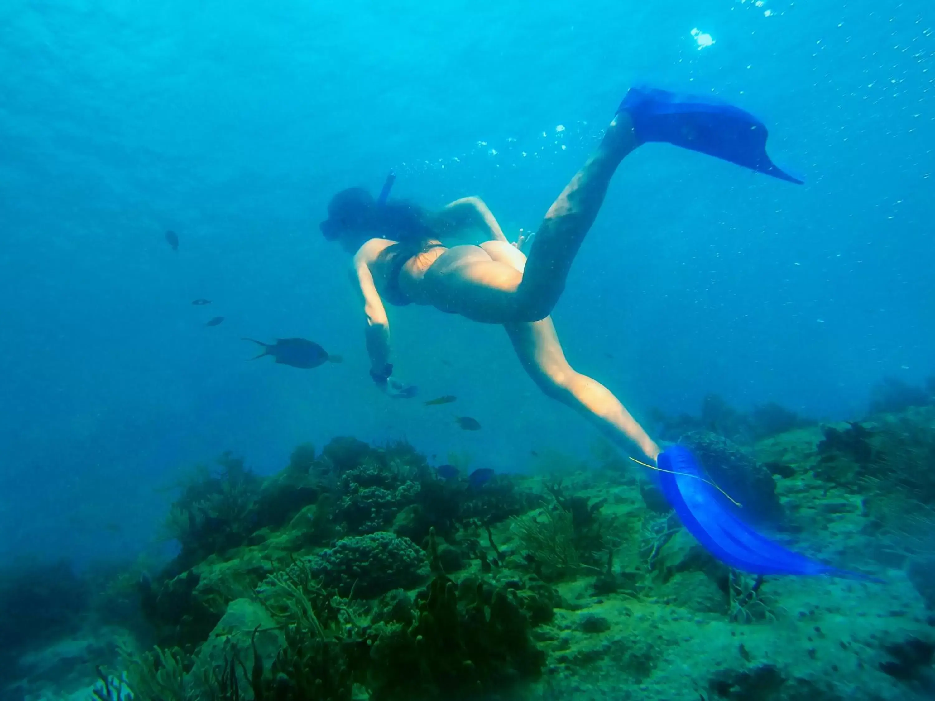 Snorkeling, Snorkeling/Diving in Enigmatic Hotel Experience