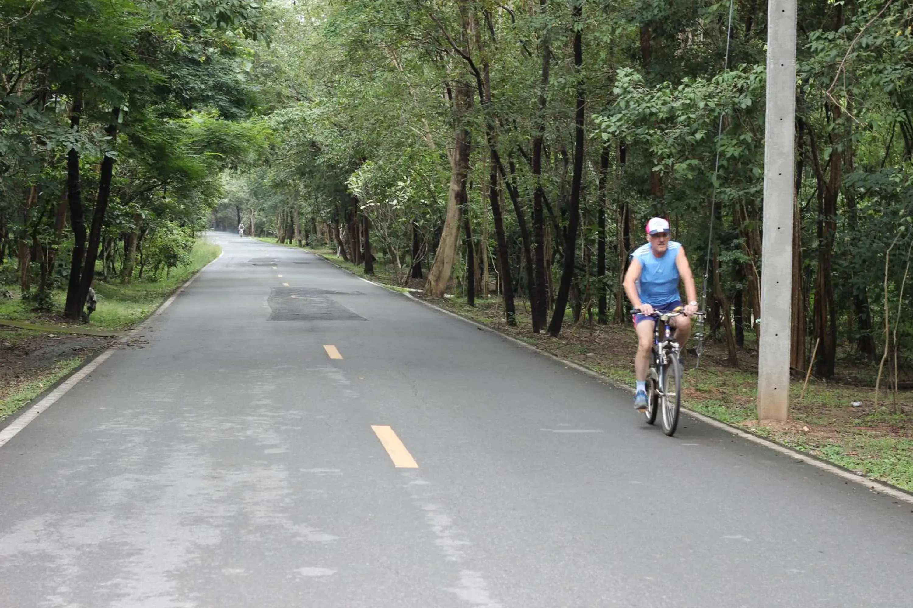 Cycling, Biking in Foresta Villa