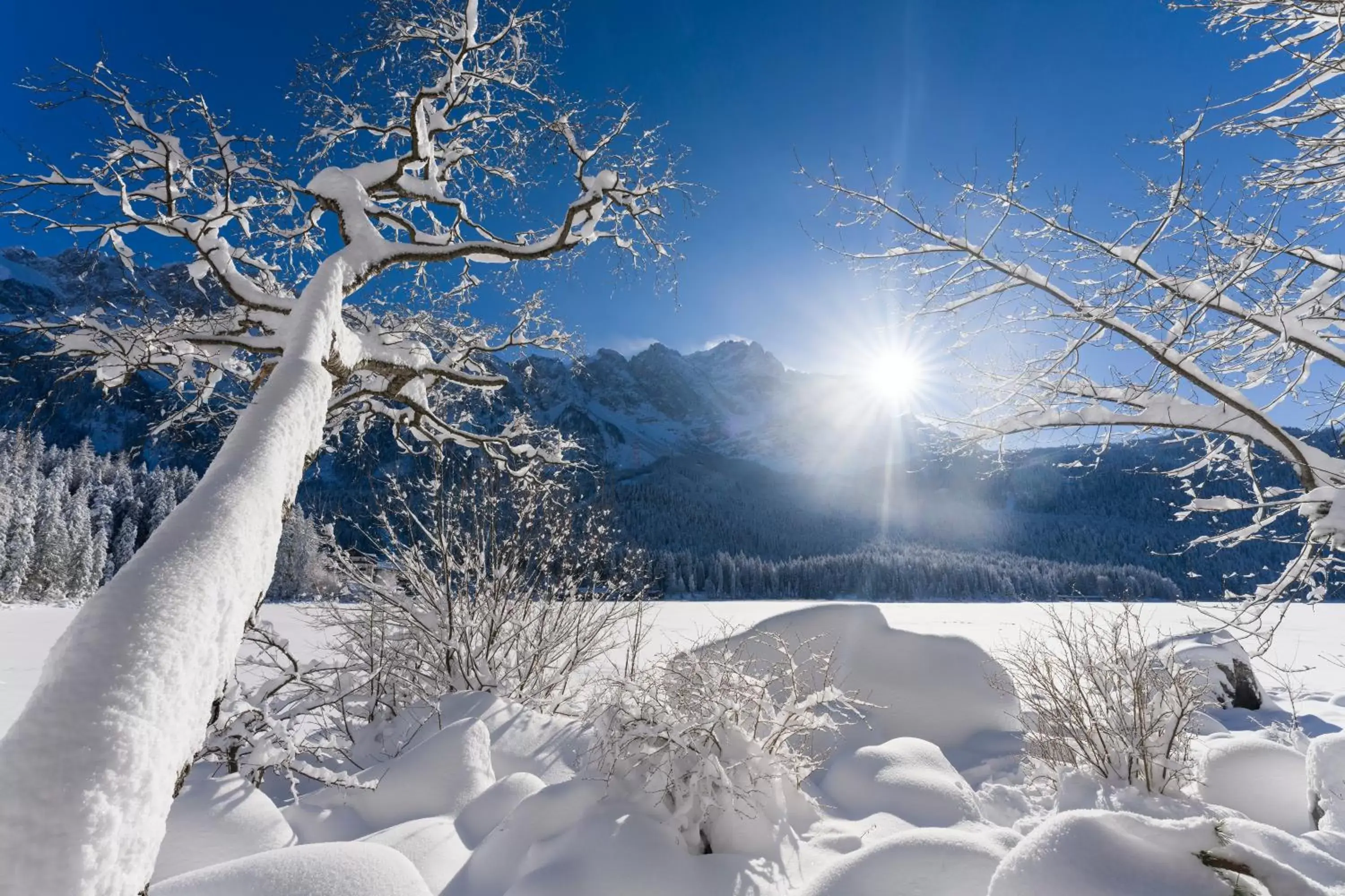 Winter in Eibsee Hotel