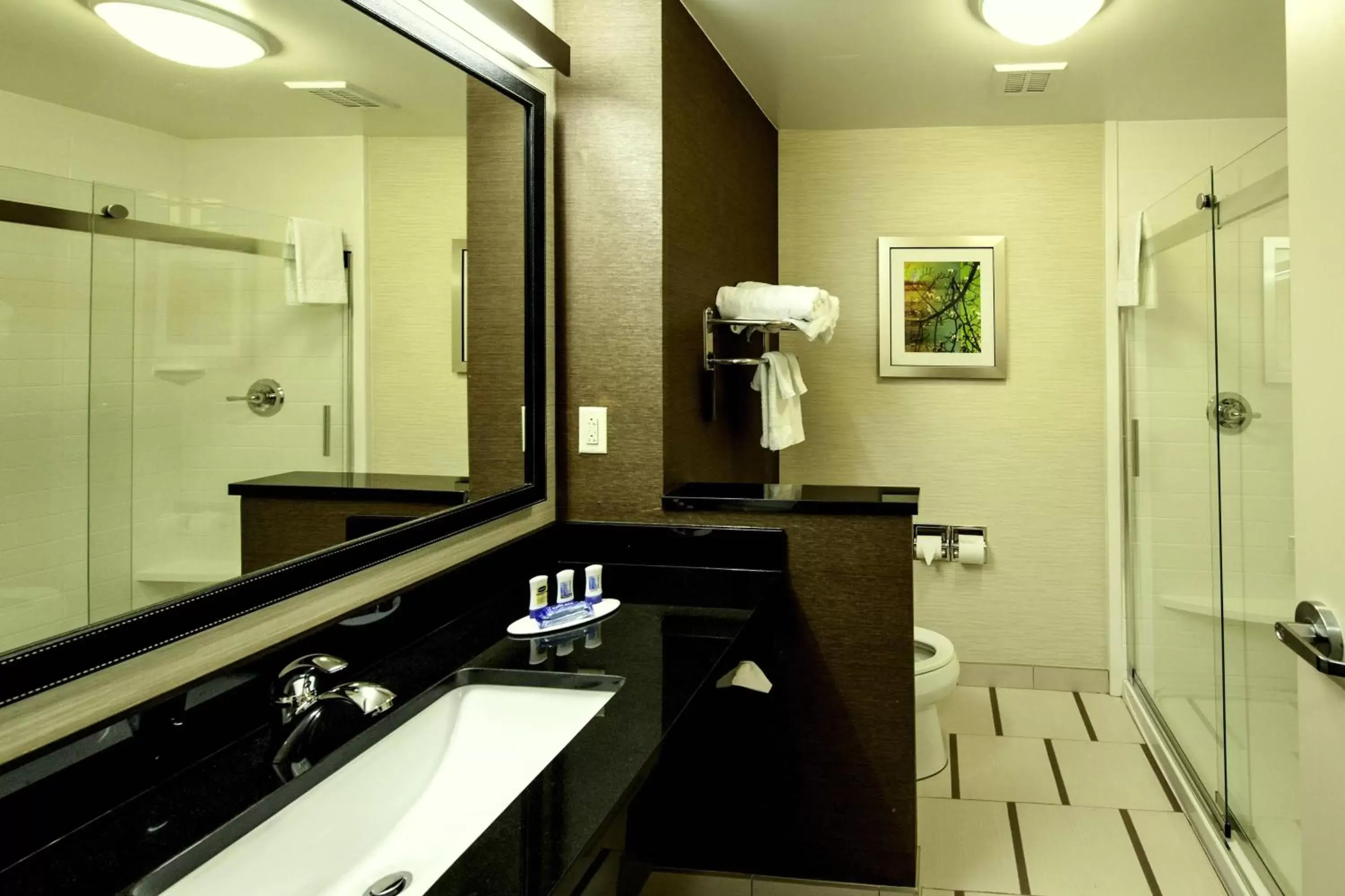 Bathroom in Fairfield Inn & Suites by Marriott Meridian