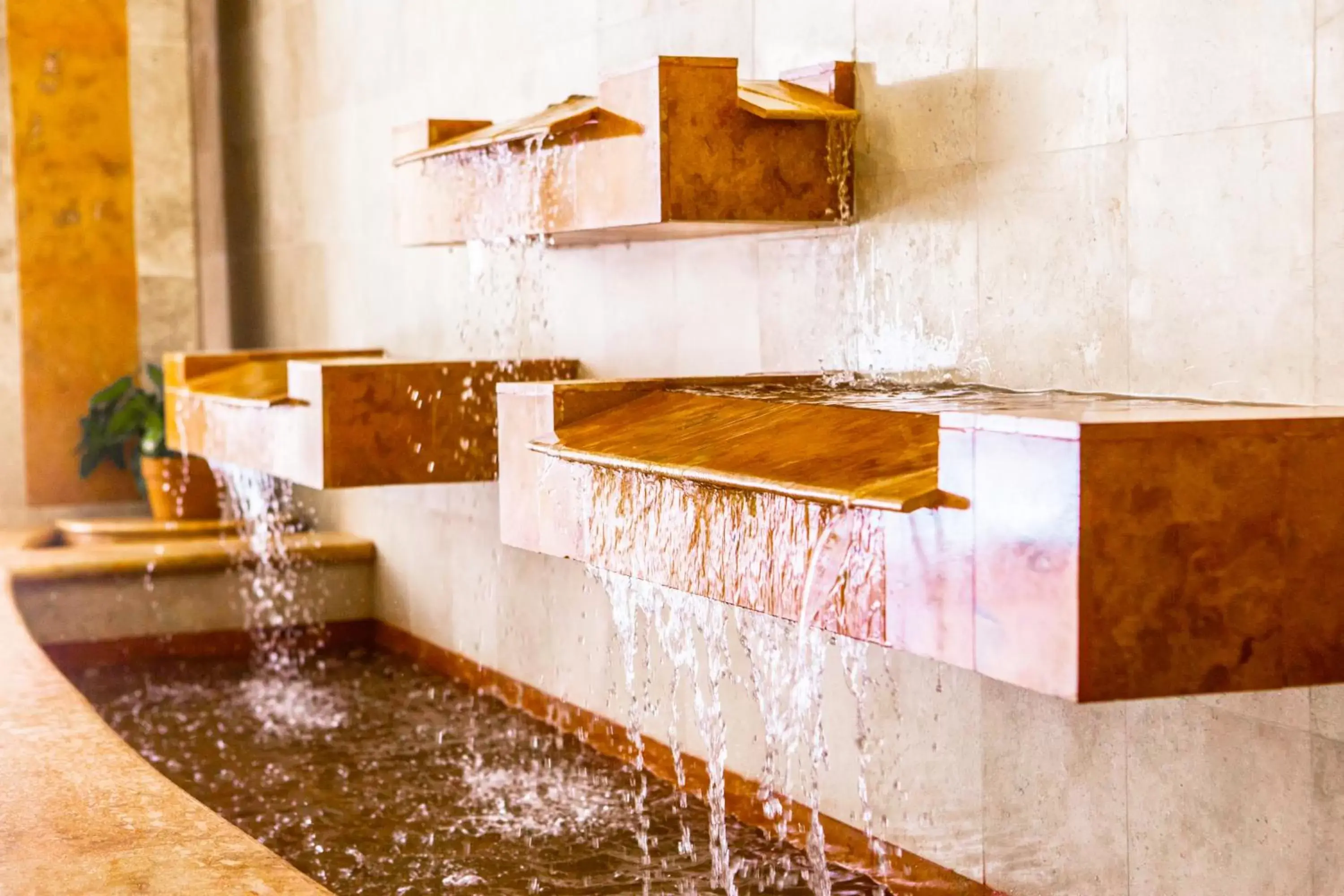 Lobby or reception, Bathroom in Hotel Palacio Maya