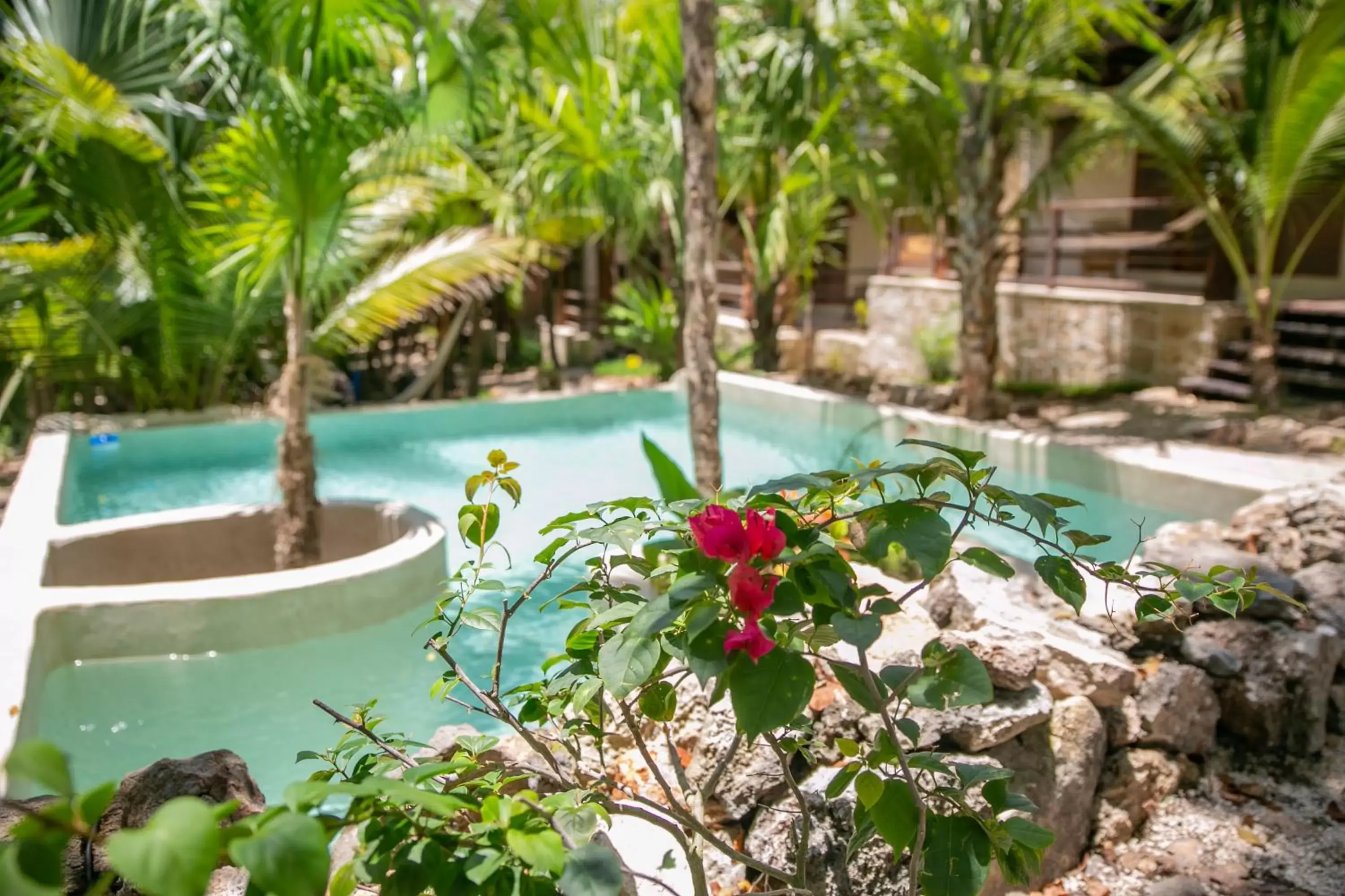 Pool view, Swimming Pool in Hotel Buenavista Bacalar - Yoga & Meditation Included