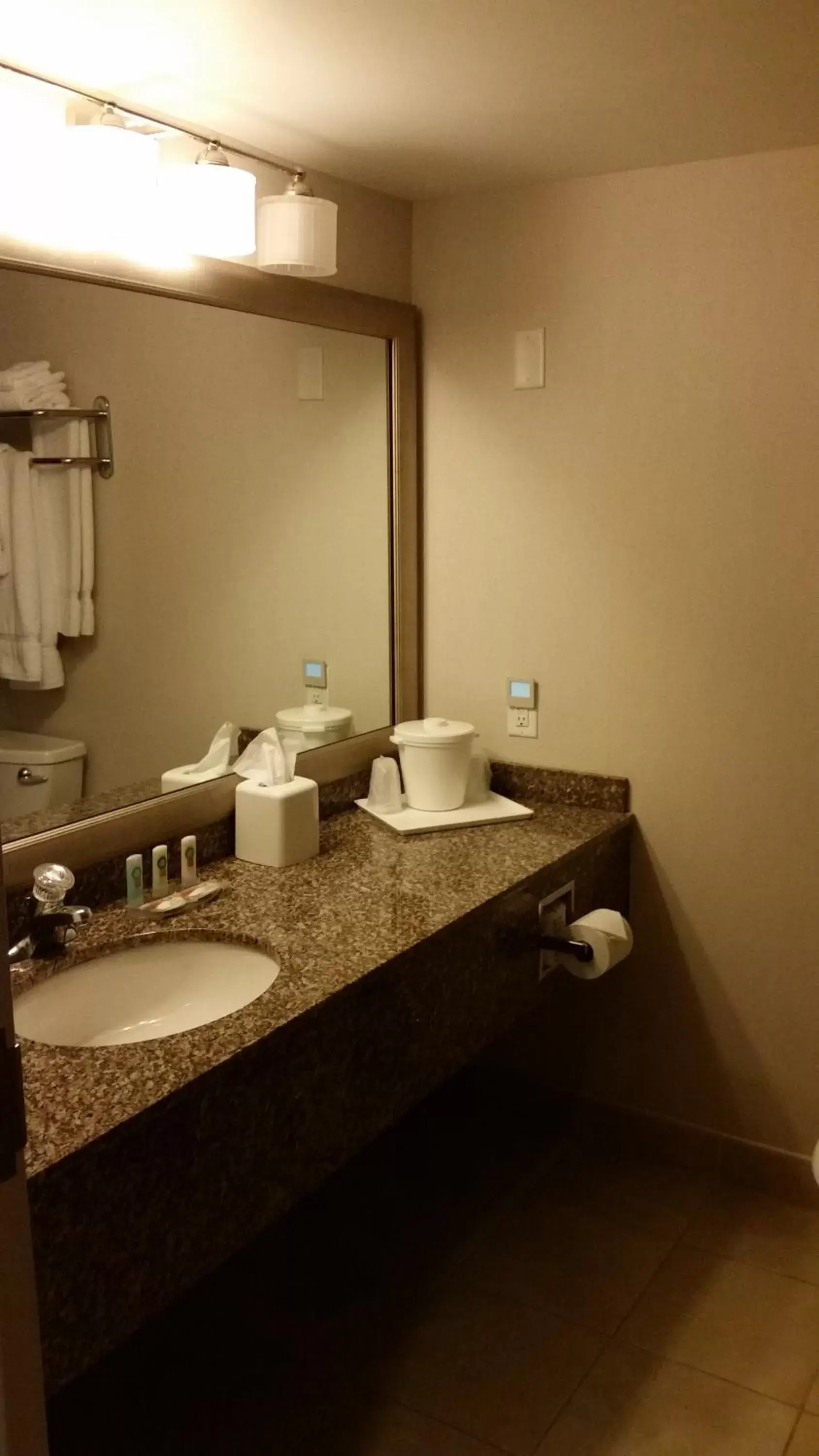King Room with City View - Non-Smoking in Clarion Hotel & Suites Riverfront Oswego