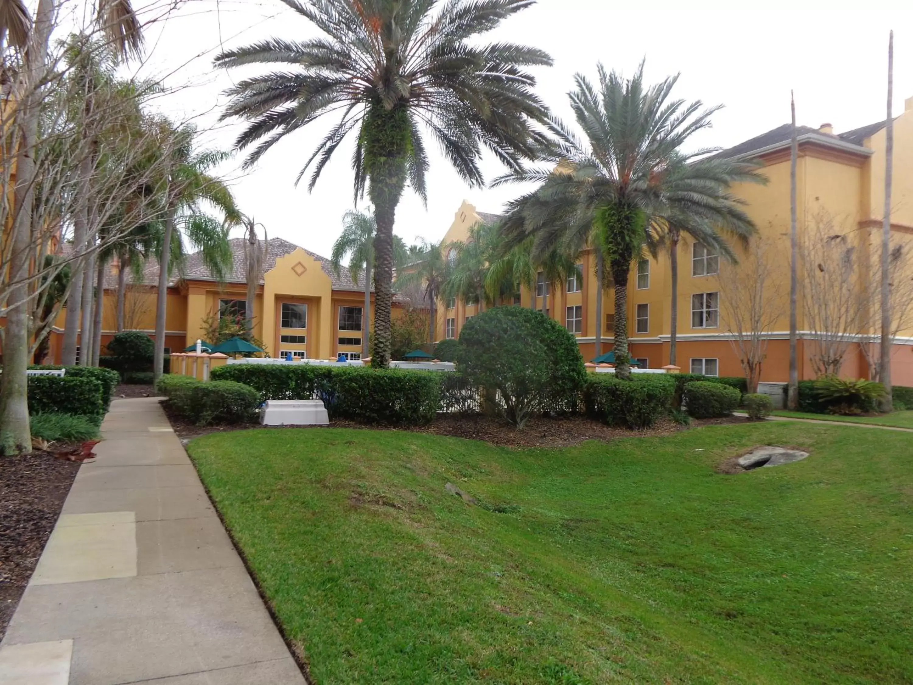 Garden, Property Building in SureStay Plus by Best Western Orlando Lake Buena Vista