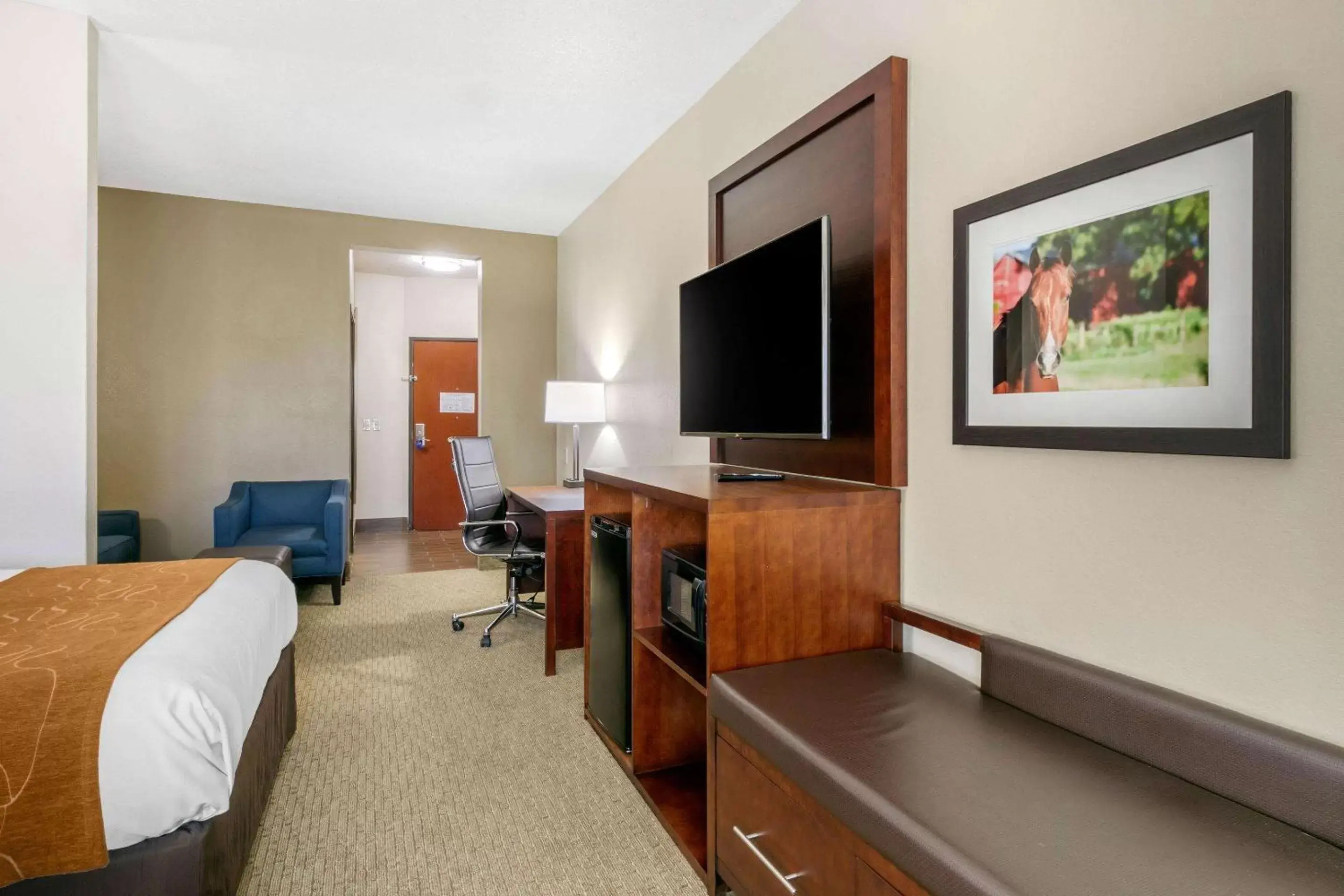 Photo of the whole room, TV/Entertainment Center in Comfort Suites Hopkinsville