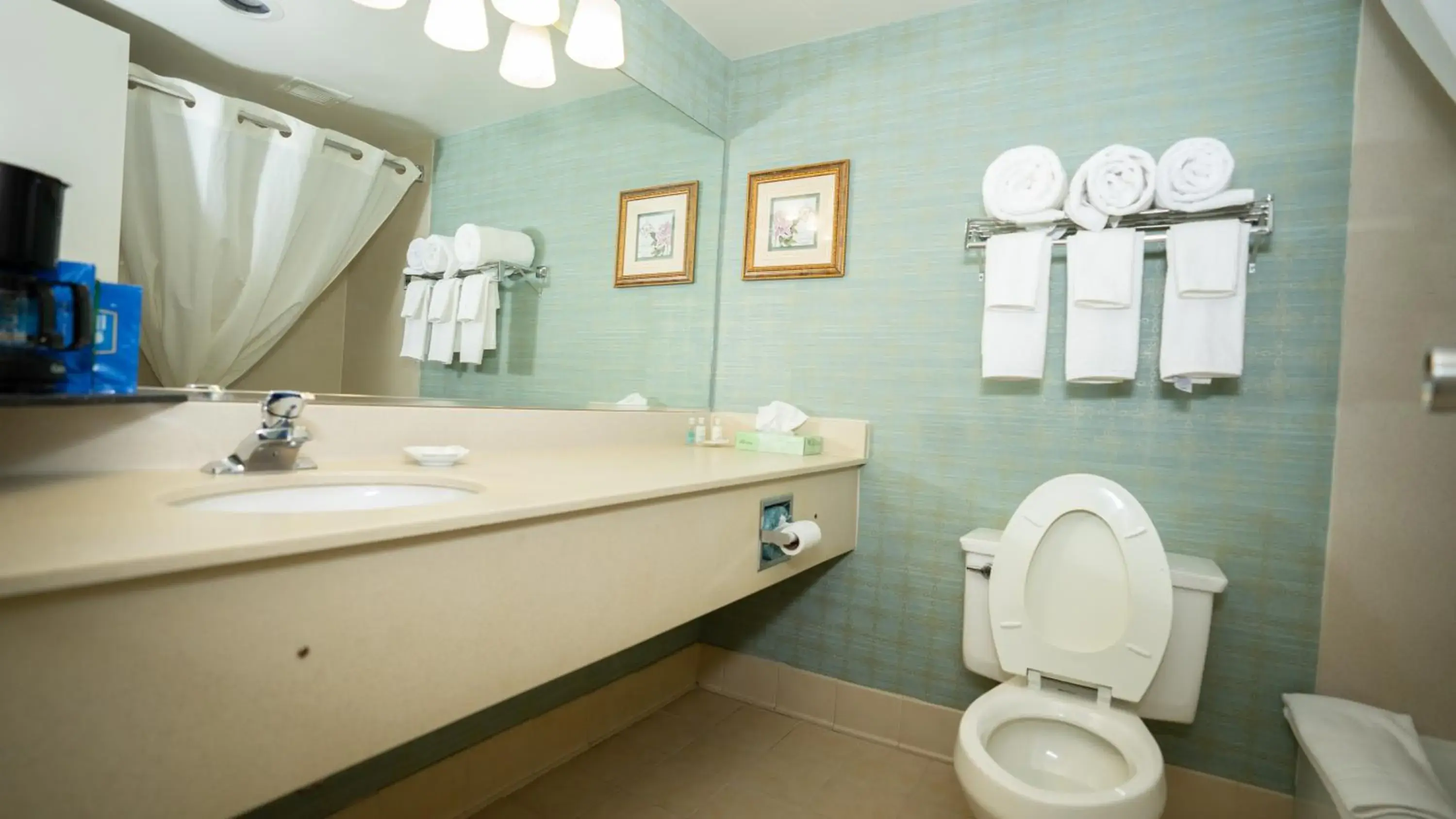 Bathroom in Clarion Hotel & Suites Convention Center Fredericksburg