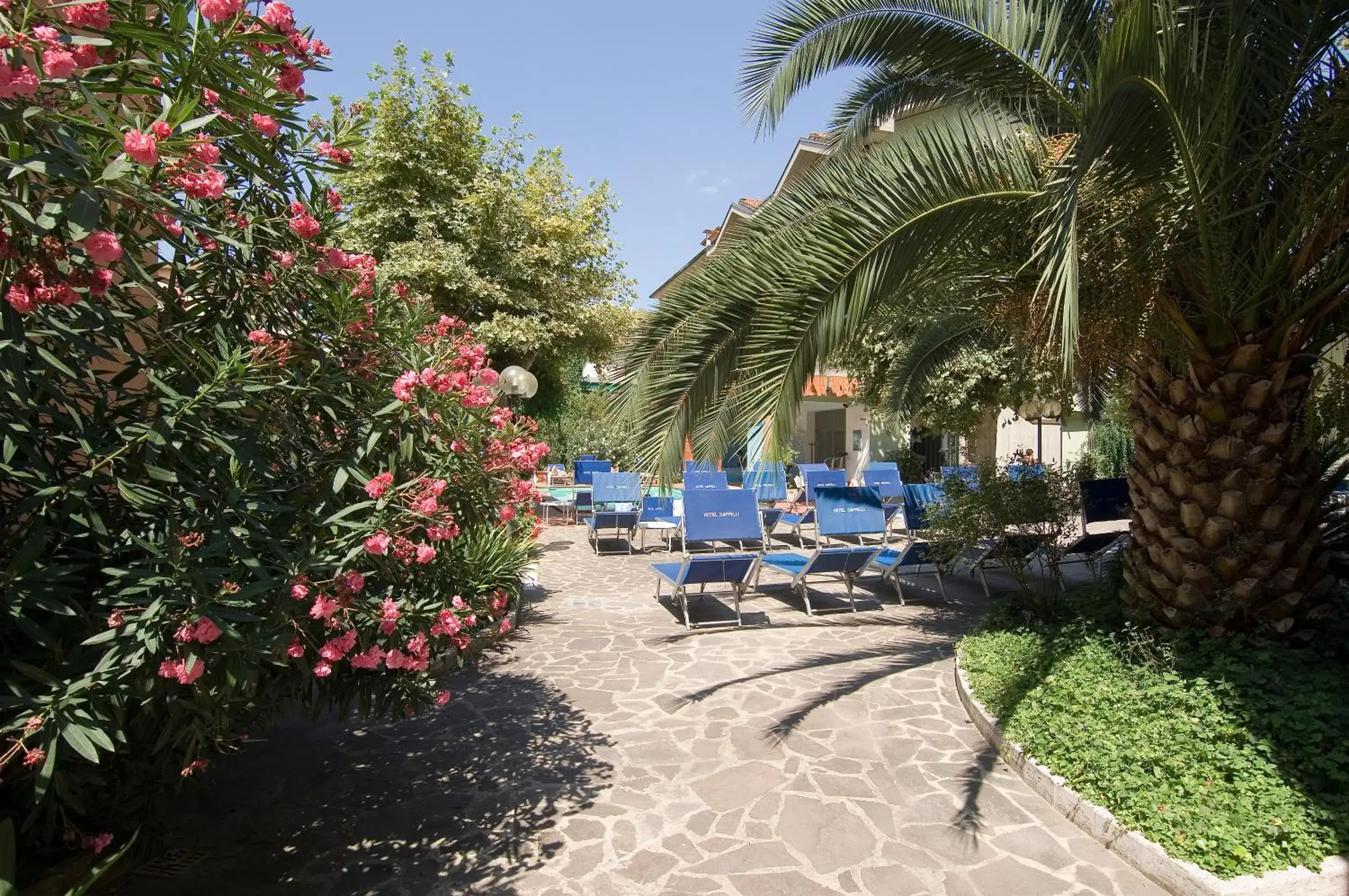 Garden, Swimming Pool in Hotel Cappelli