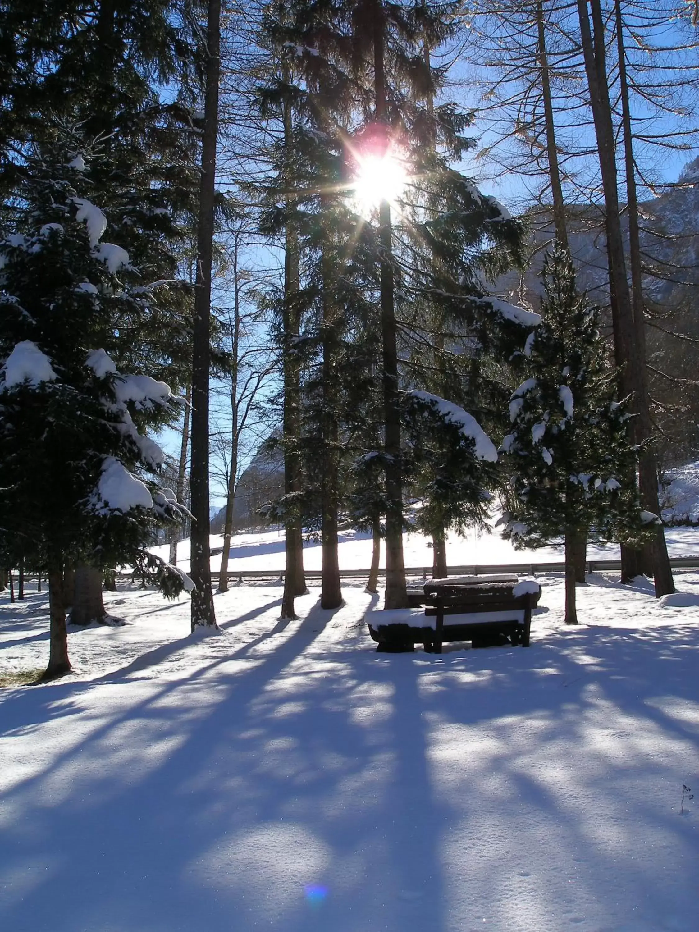 Day, Winter in Hotel Dama Bianca