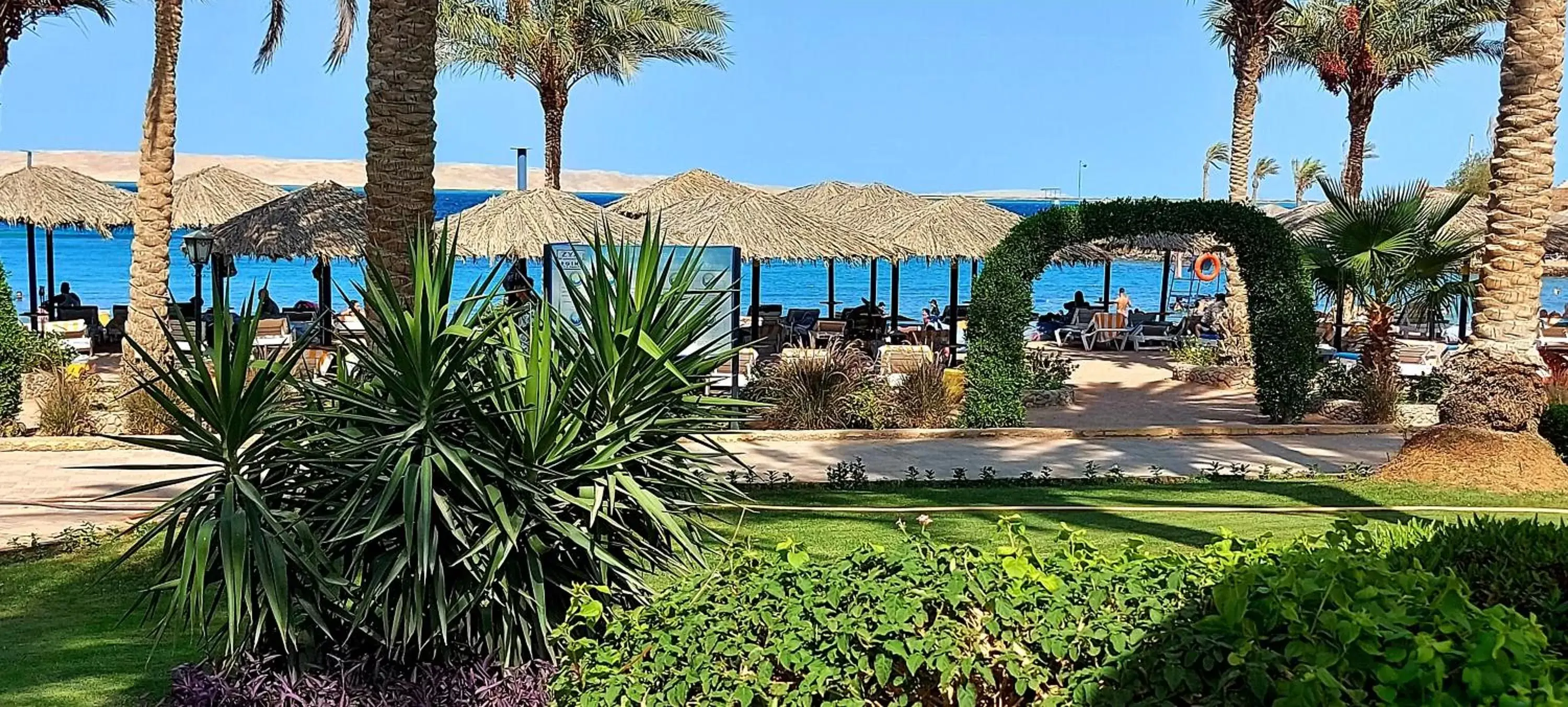 Garden, Swimming Pool in ZYA Regina Resort and Aqua Park Hurghada