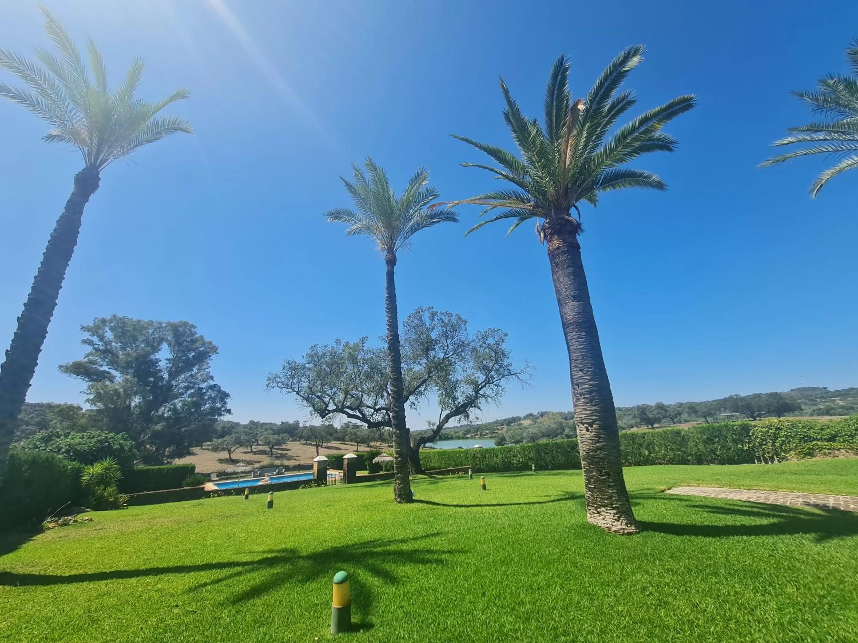 Spring, Garden in Alojamiento Rural Finca Barral