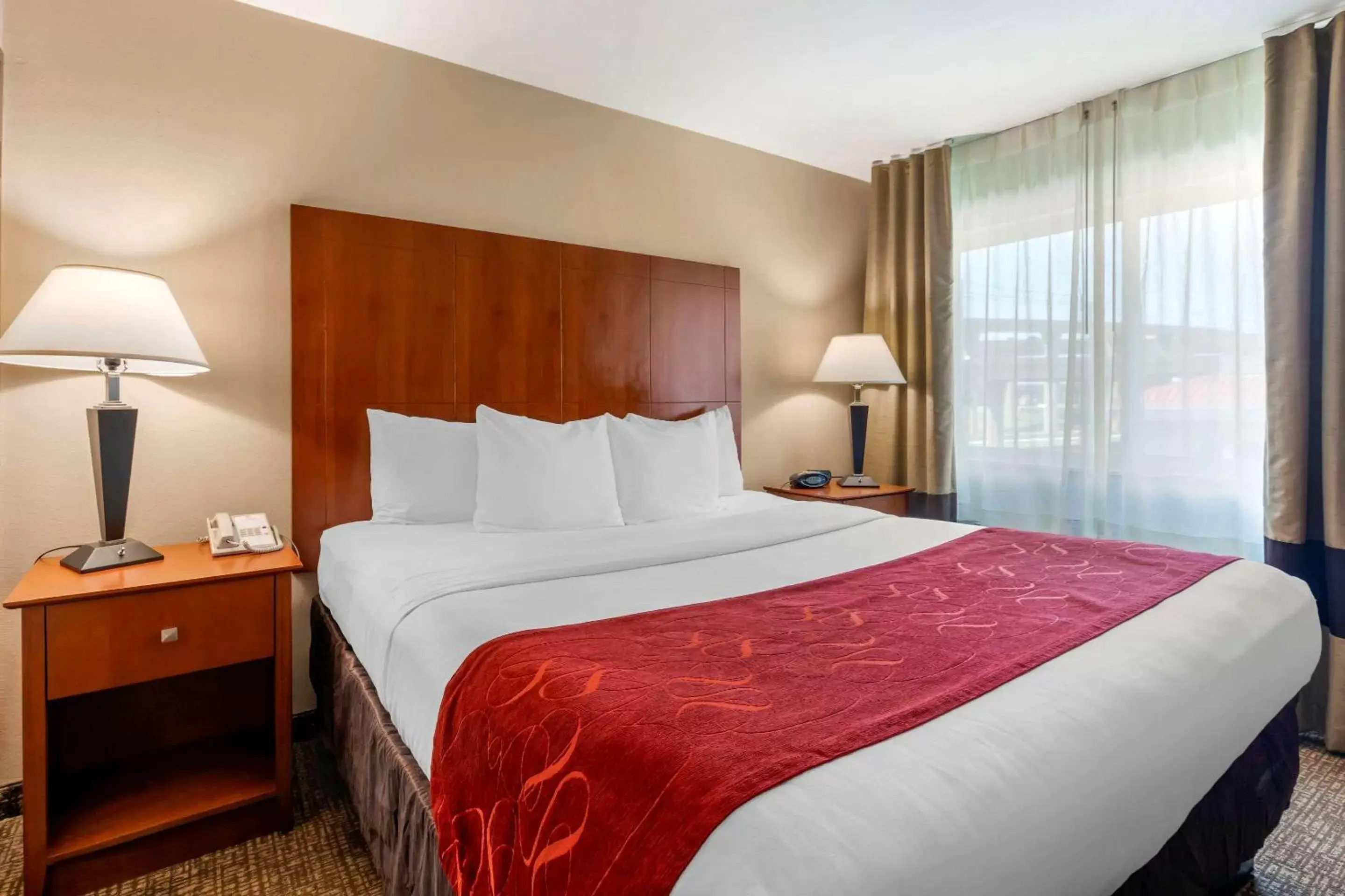 Photo of the whole room, Bed in Comfort Suites North Dallas