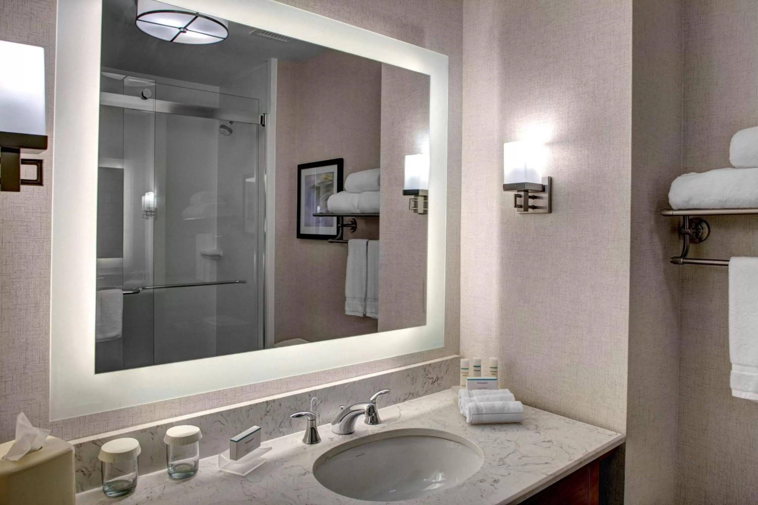 Bathroom in Homewood Suites by Hilton Richmond-Downtown