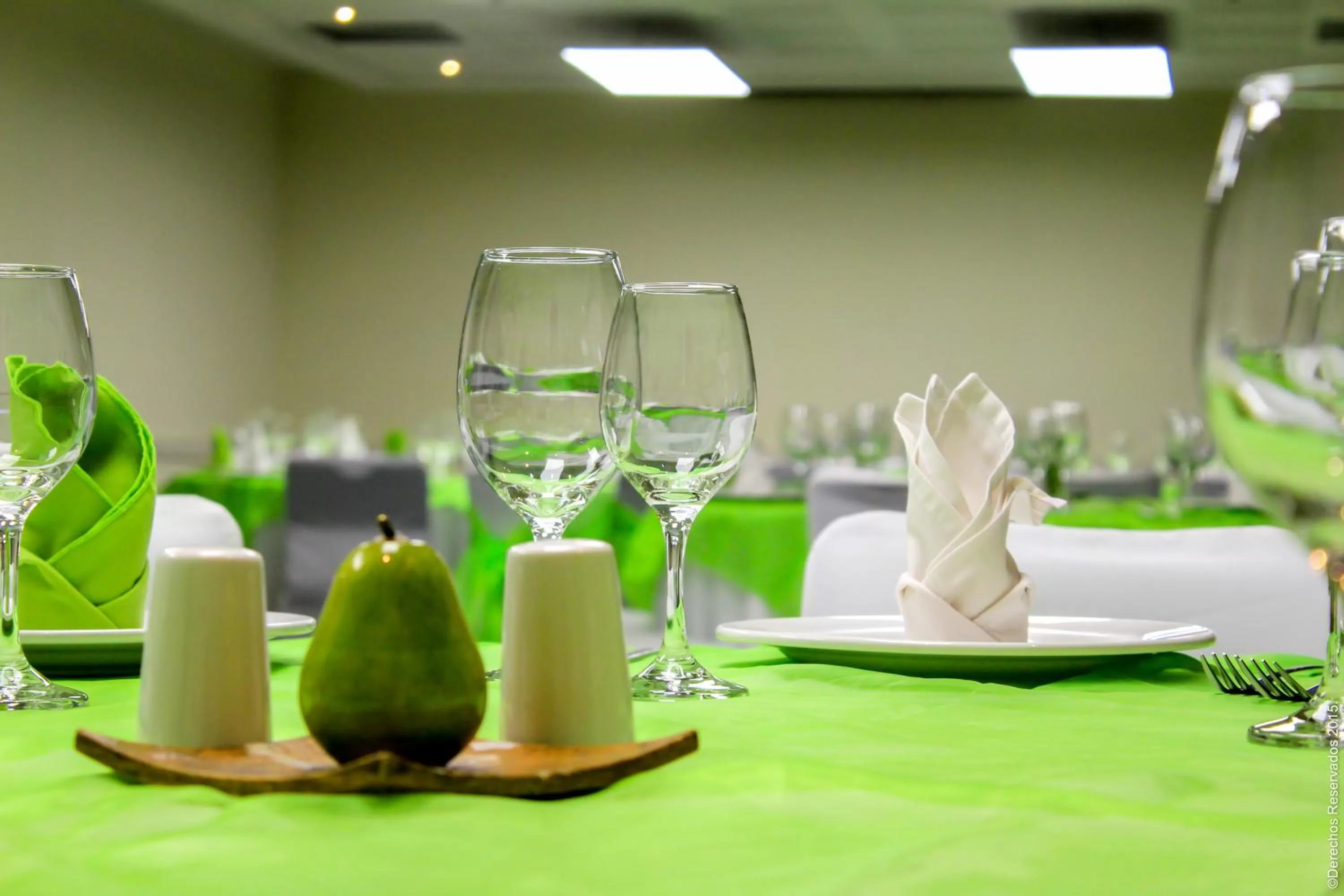 Banquet/Function facilities in Holiday Inn Leon by IHG