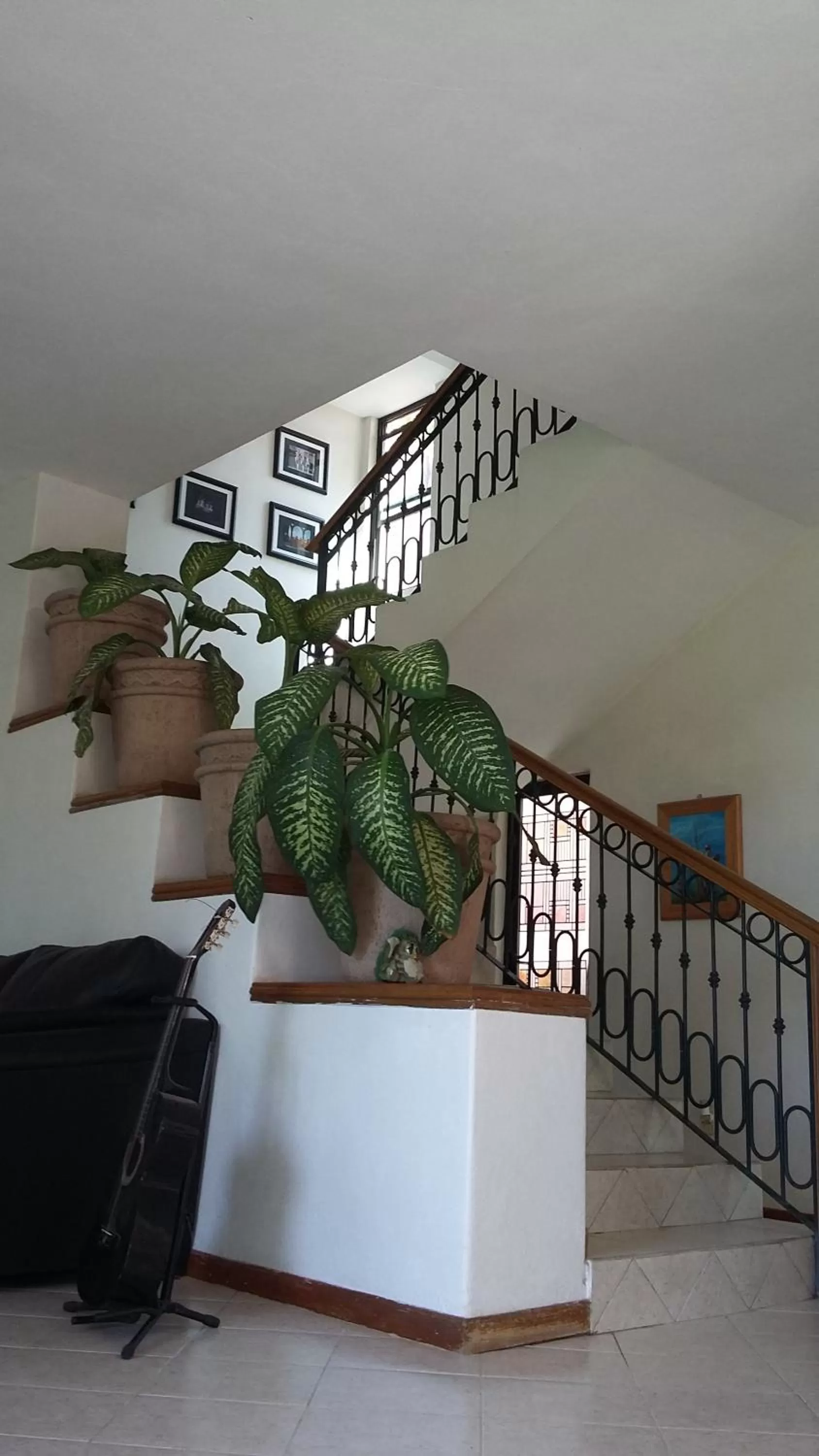 Lobby or reception in Delfin