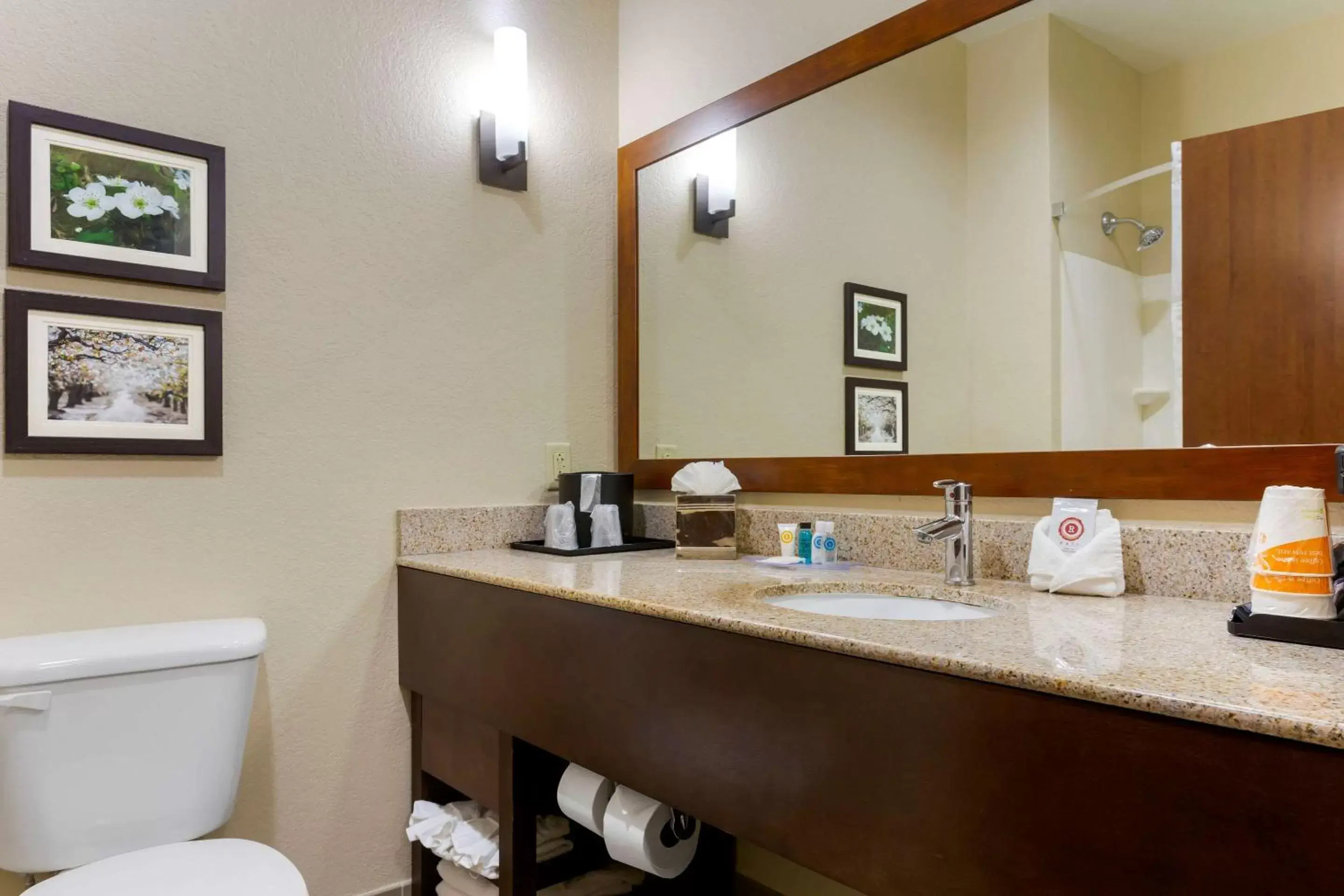 Photo of the whole room, Bathroom in Comfort Suites Little Rock