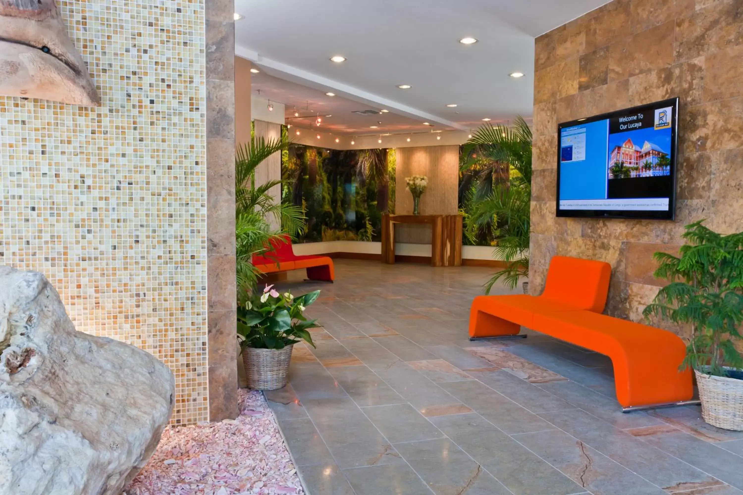 TV and multimedia, Lobby/Reception in Pelican Bay Hotel