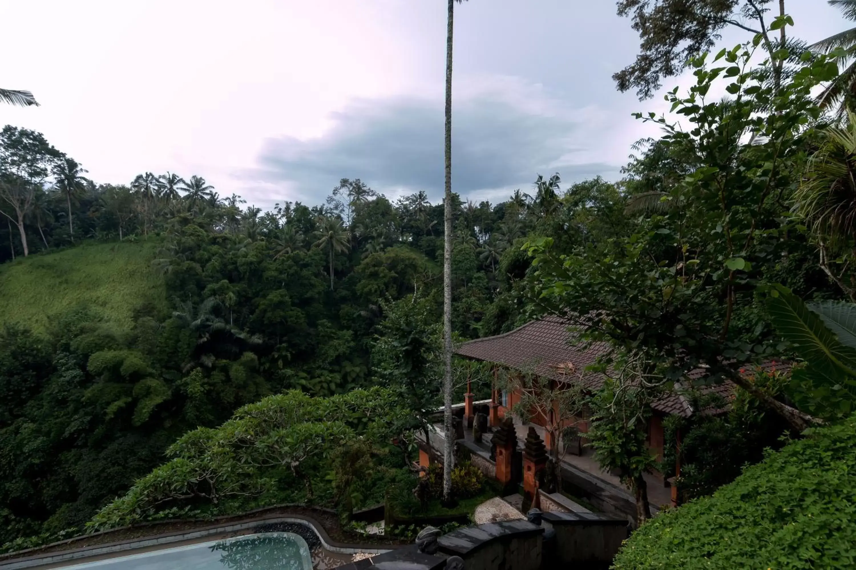 Pool view in Ulun Ubud Resort - CHSE Certified Pool view in Ulun Ubud Resort - CHSE Certified