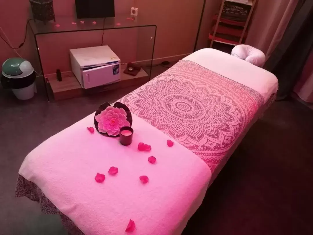 Massage, Bed in HOTEL & SPA Le Renard Centre