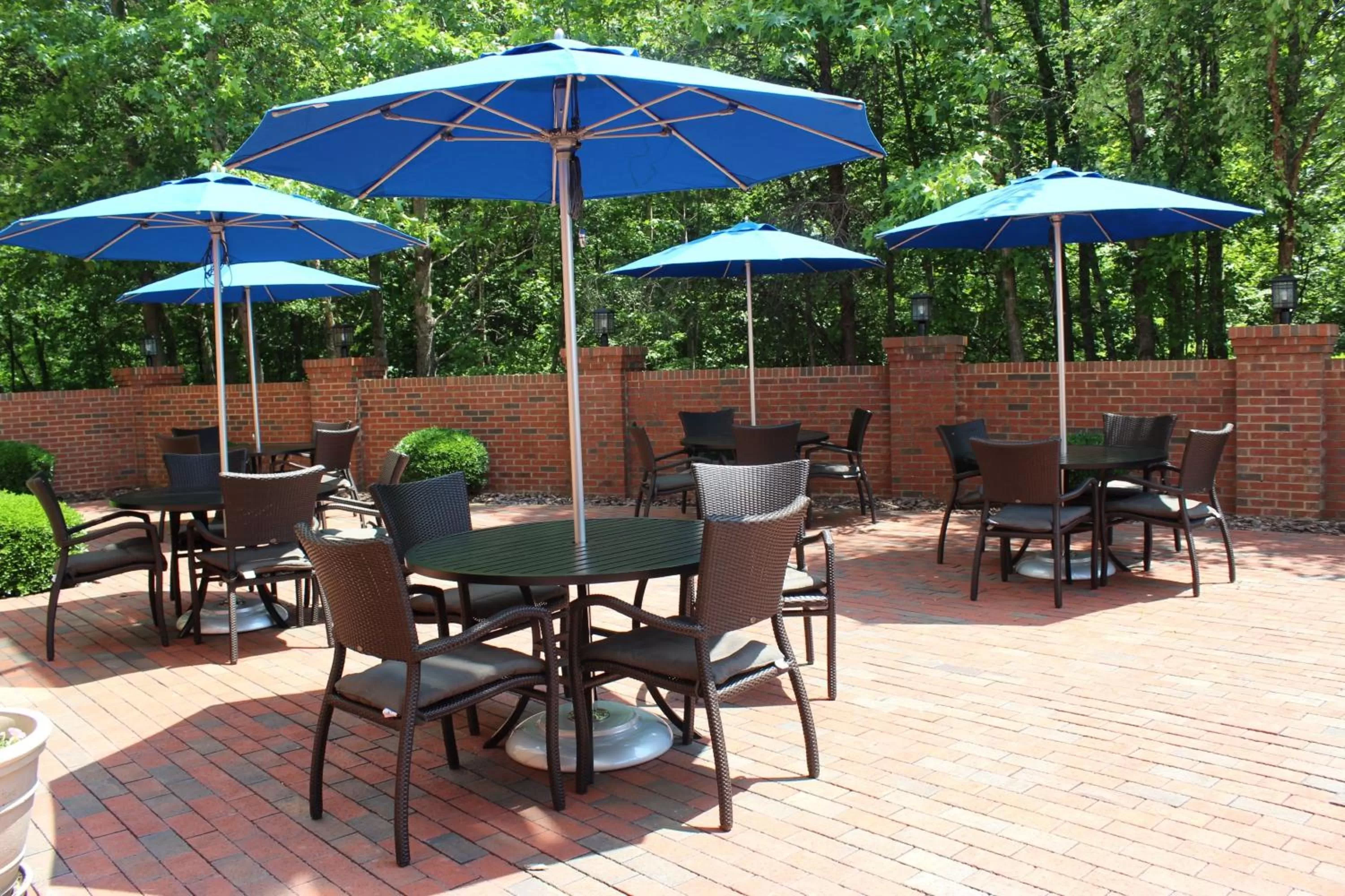 Other in Holiday Inn Express Forest City by IHG