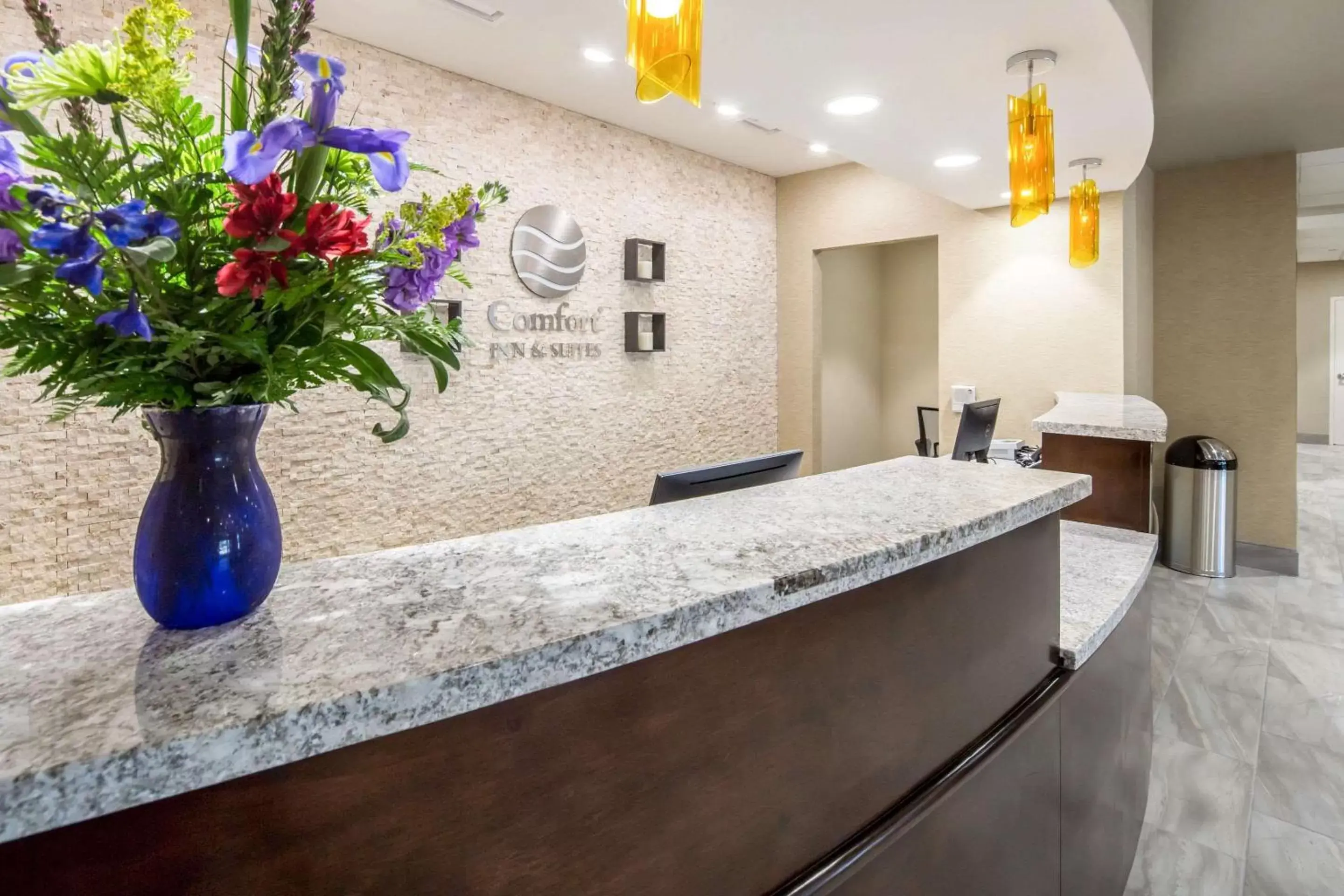 Lobby or reception, Lobby/Reception in Comfort Inn & Suites Lovington