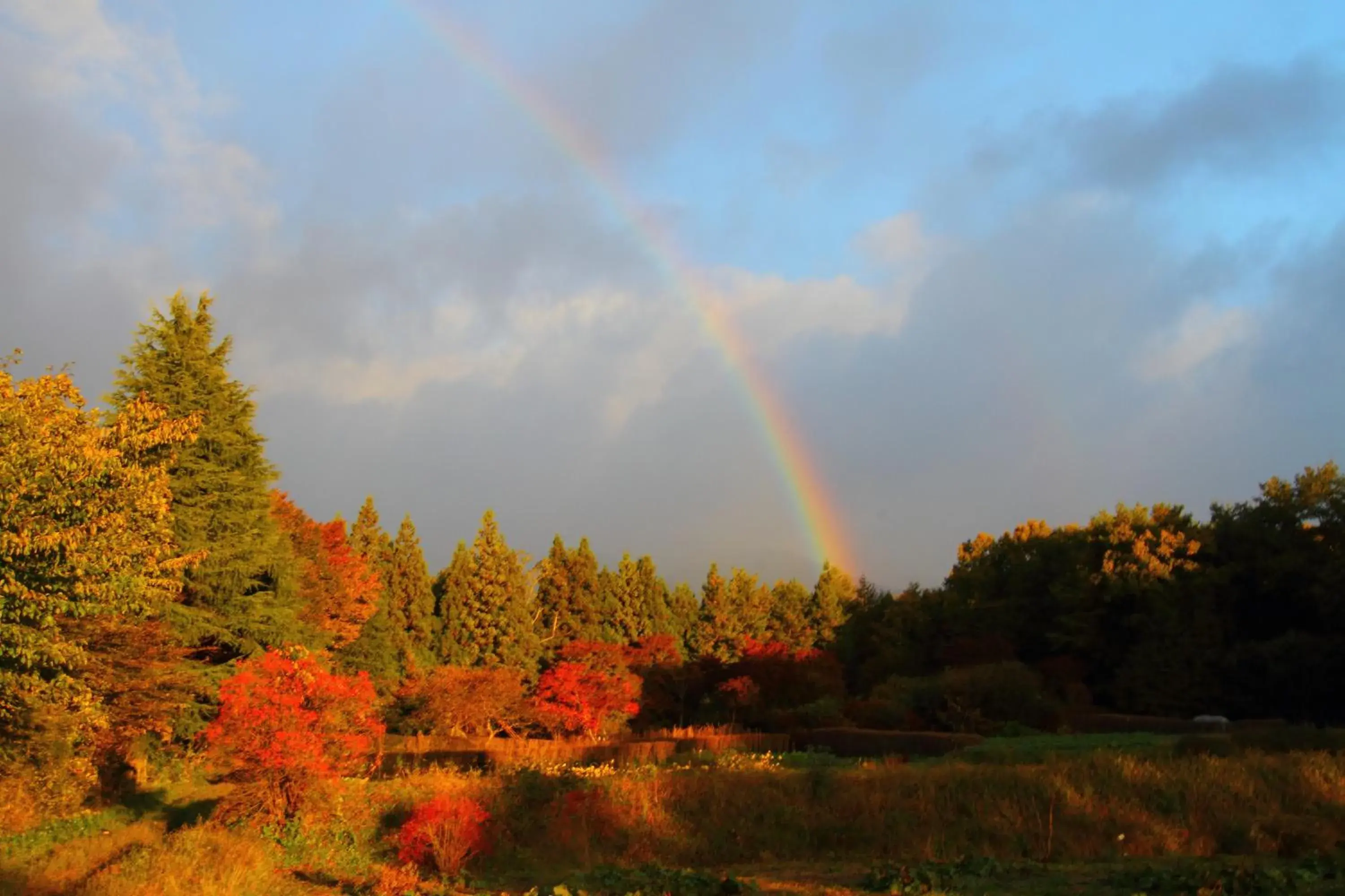 Mountain view, Natural Landscape in Scotch Court