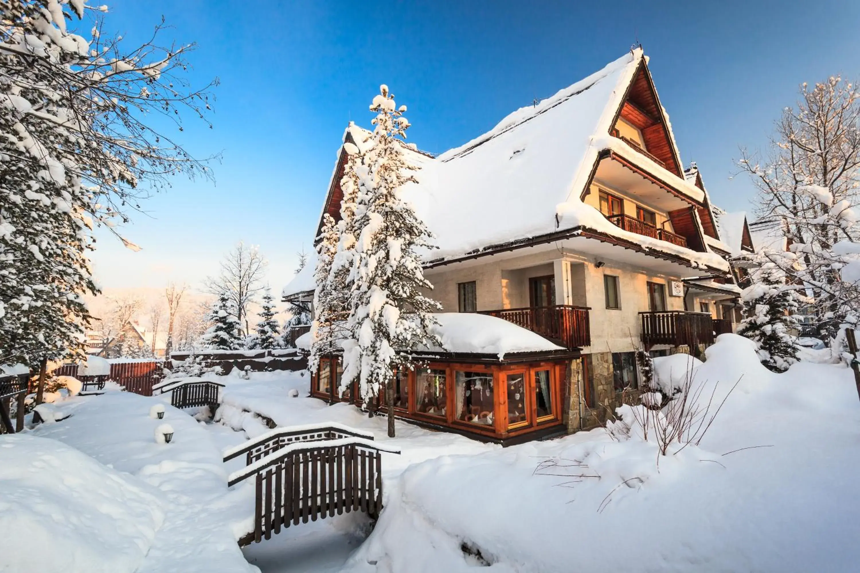 Garden view, Winter in Czarny Potok