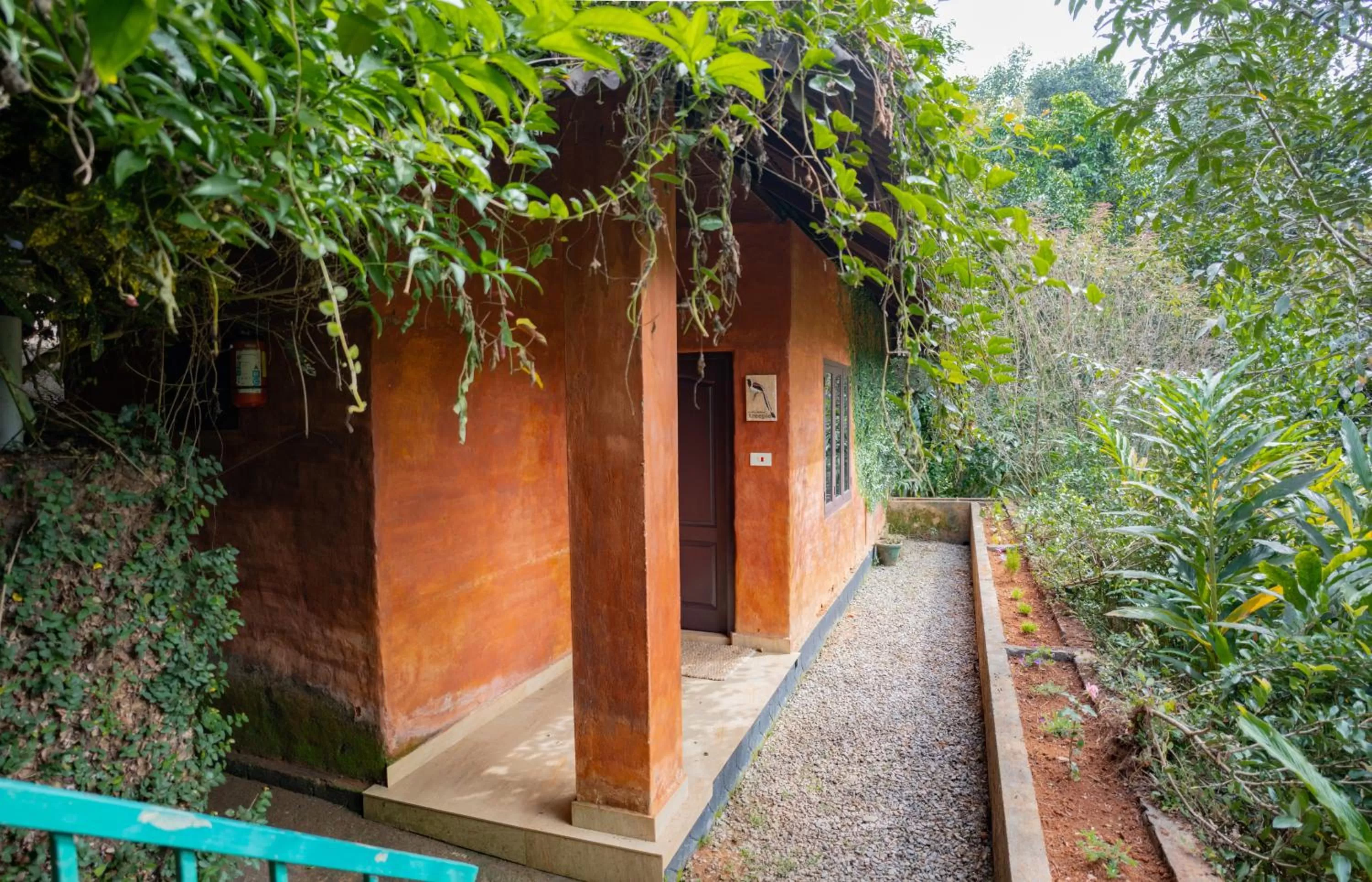 View (from property/room) in Edens Munnar