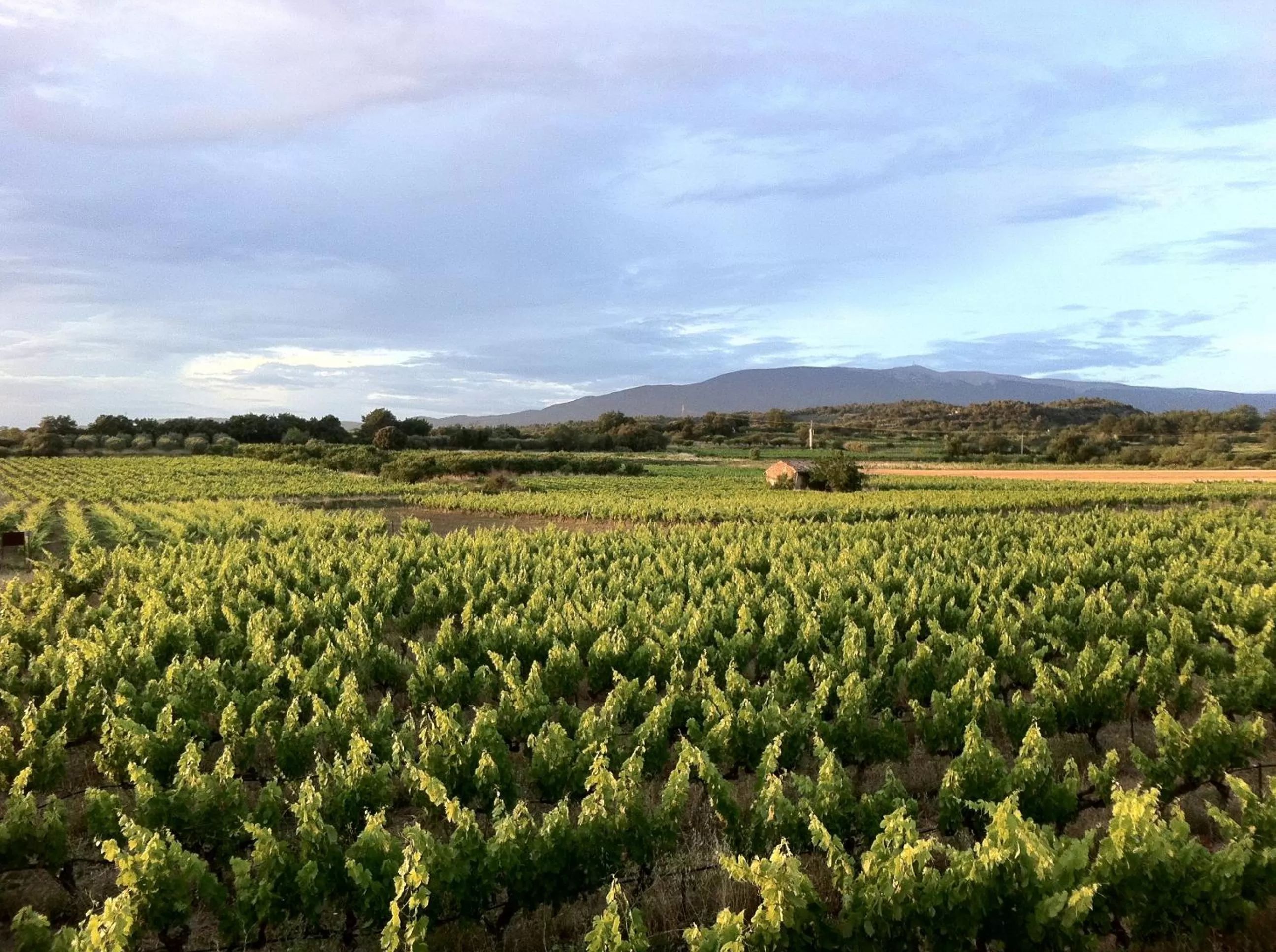 Day in Le Mas de Plein Pagnier