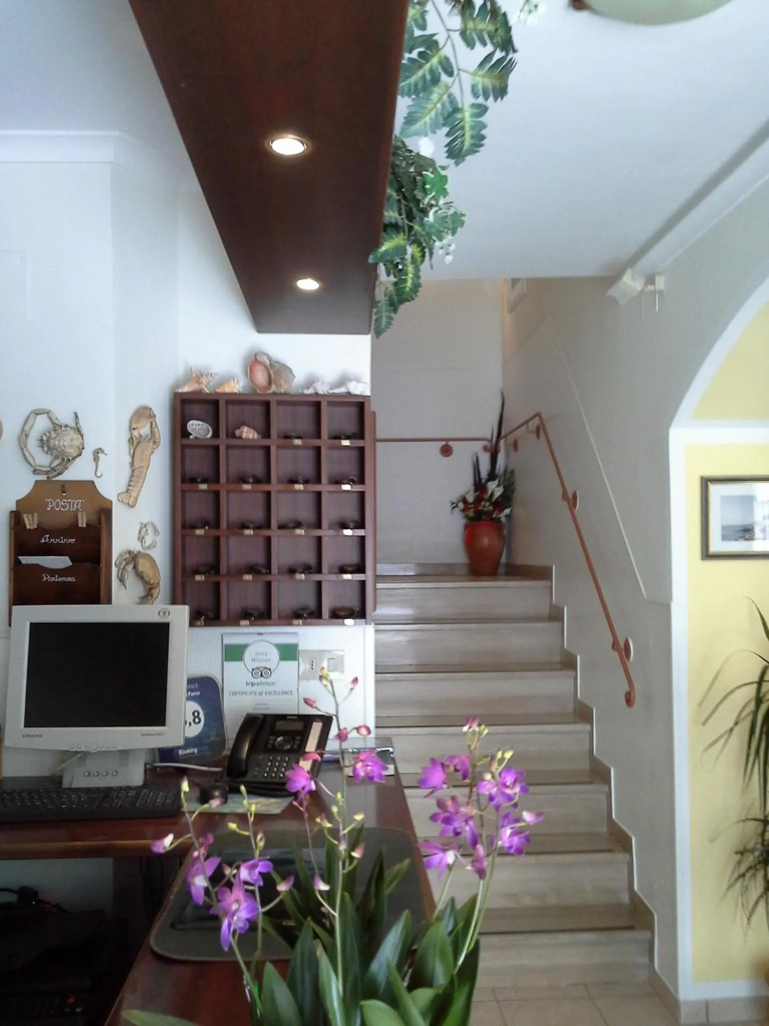 Lobby or reception in Hotel "Il Parco" B&B Sirolo