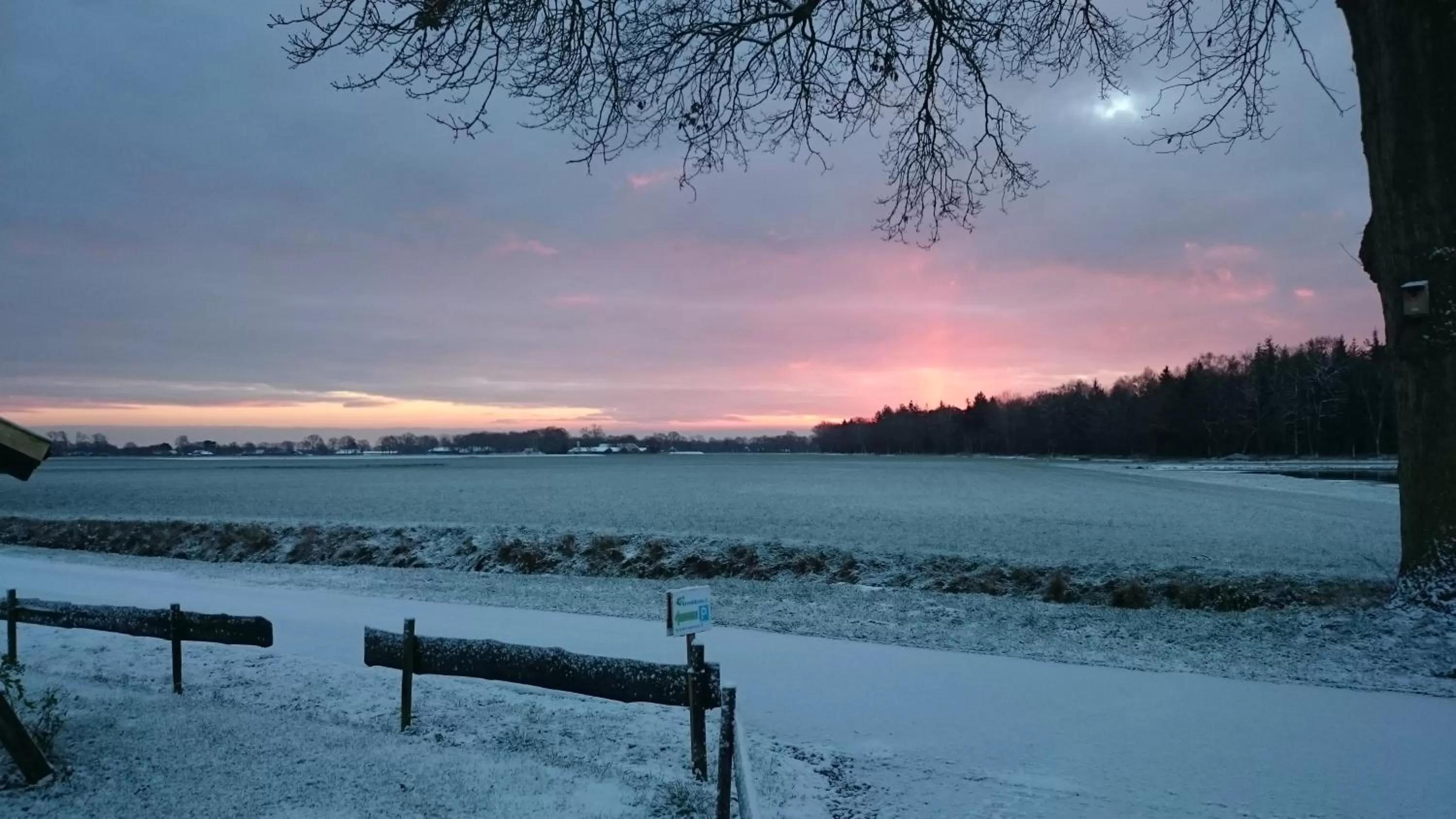 Winter in B&B Verwoldsehof