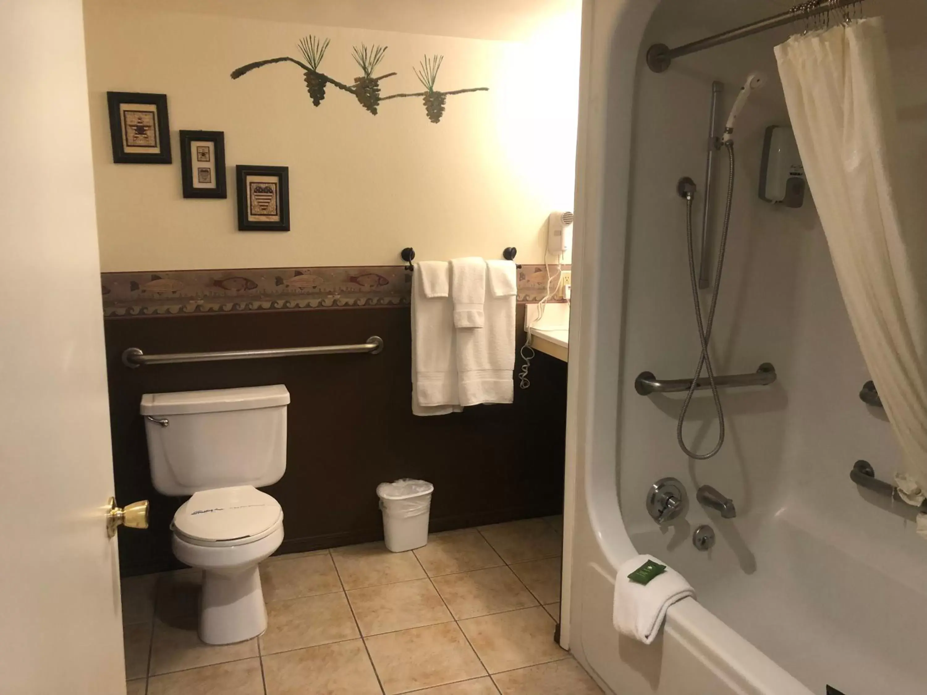 Shower, Bathroom in Fireside Lodge