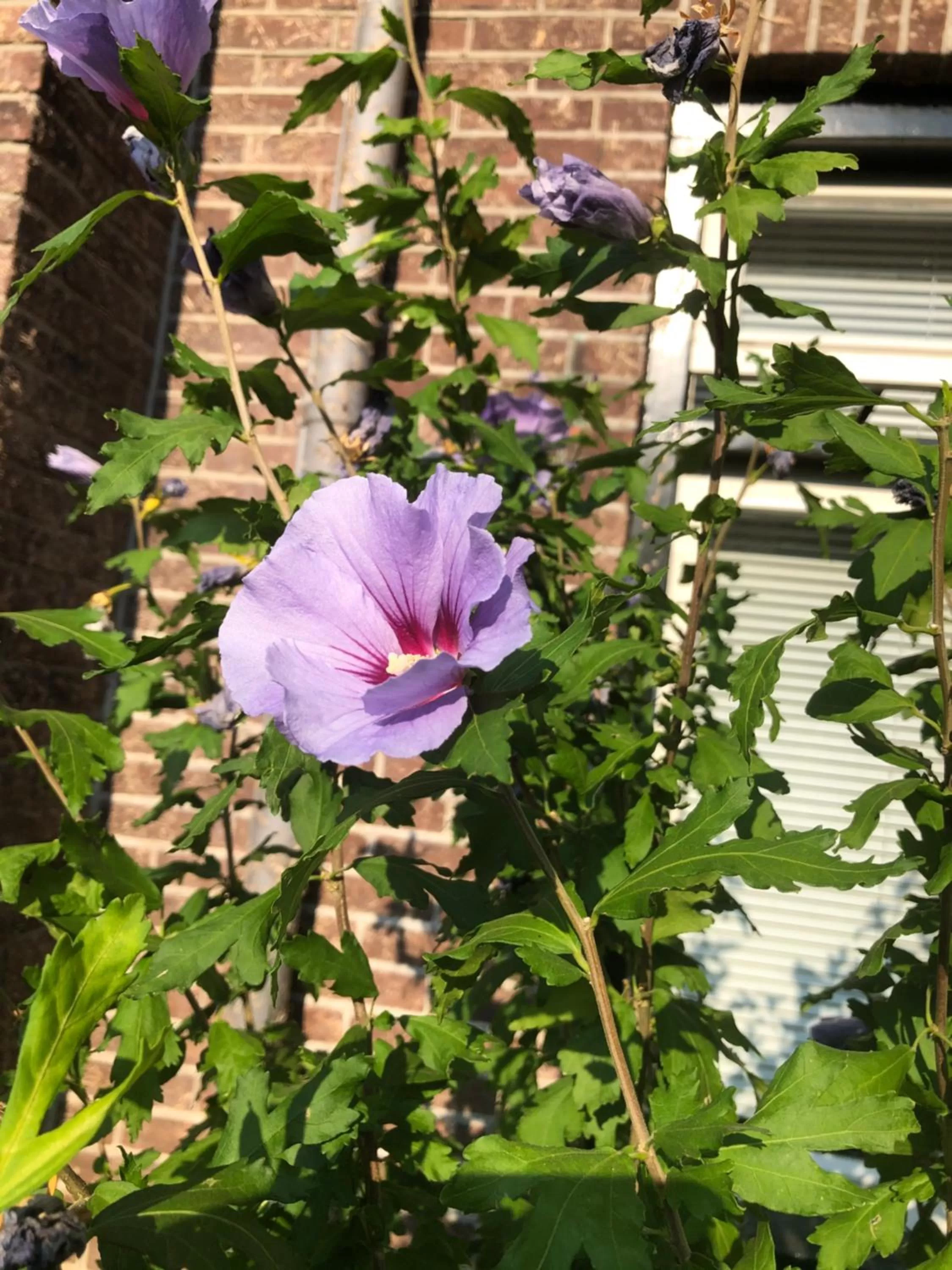 Spring in Het Doktershuys
