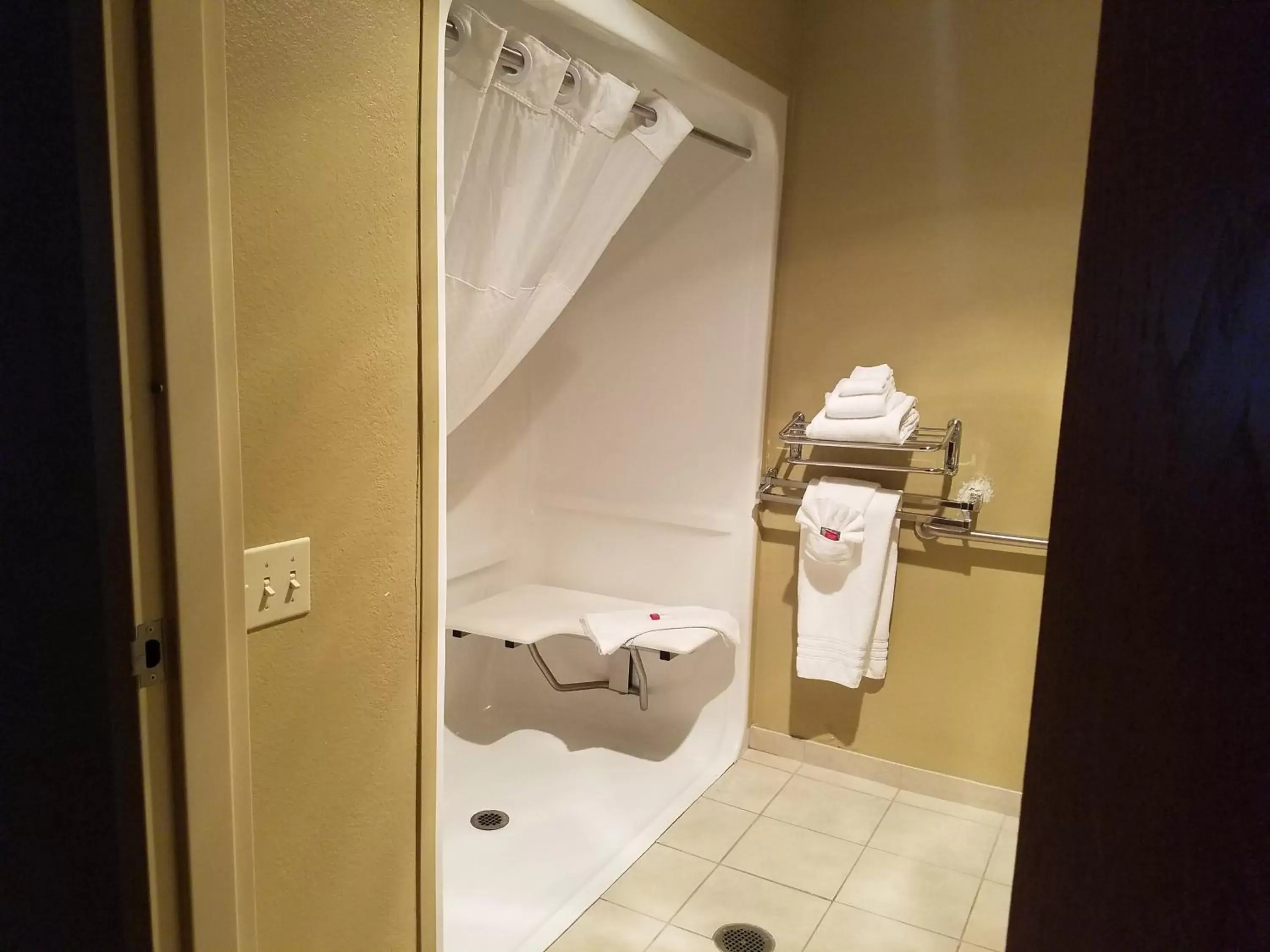 Shower, Bathroom in Microtel Inn & Suites Dover by Wyndham