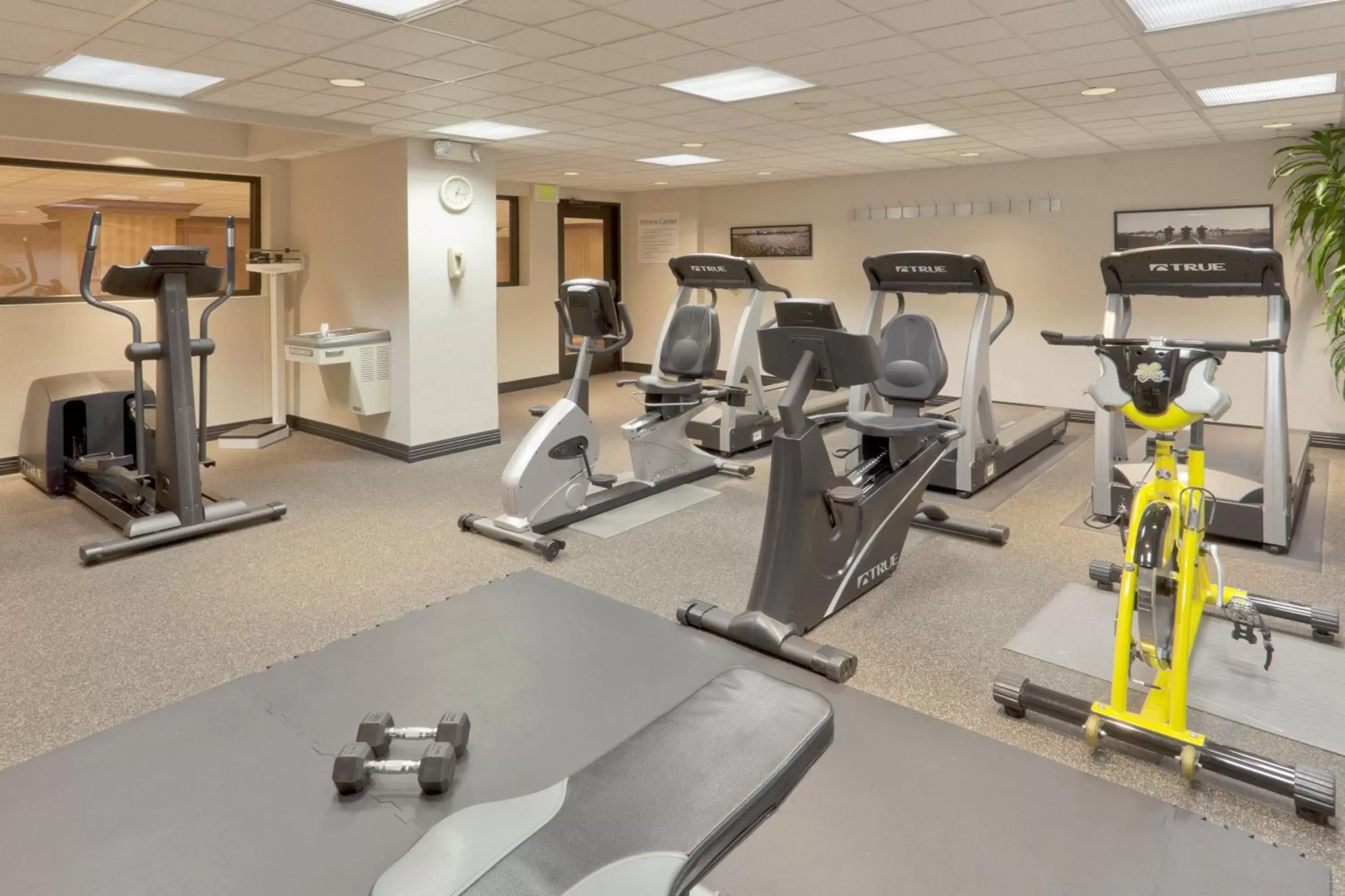 Fitness centre/facilities, Fitness Center/Facilities in Holiday Inn Sacramento Downtown-Arena, an IHG Hotel