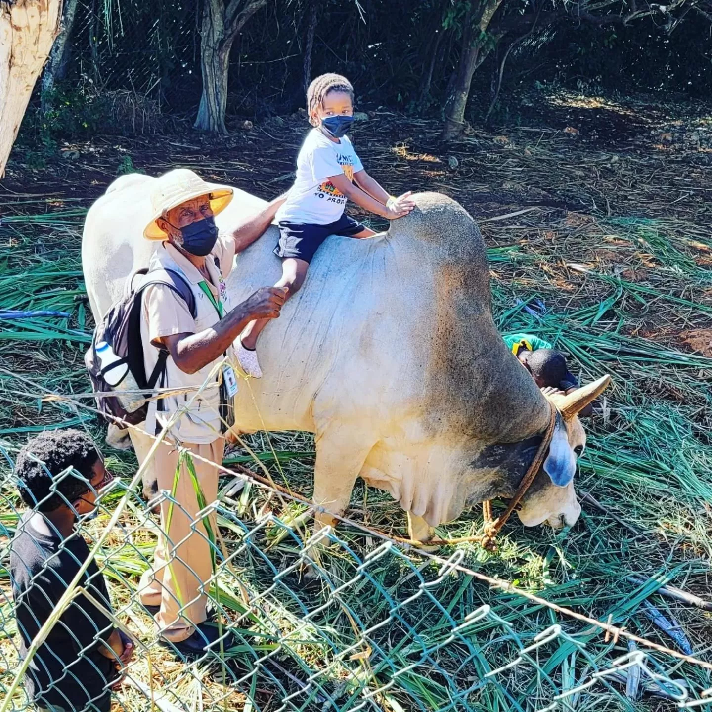 Activities in Blue Paloma Bed & Breakfast