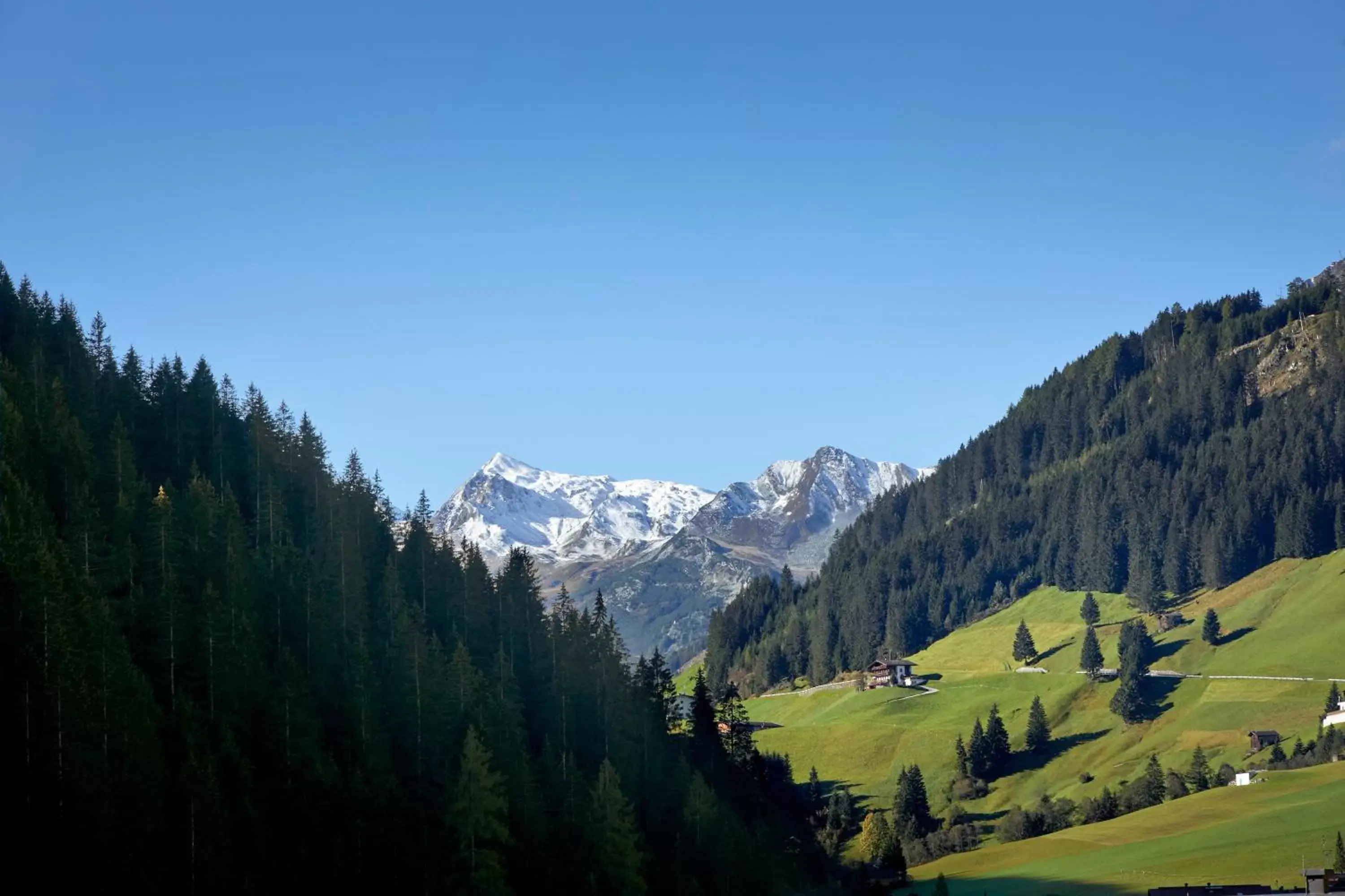 Natural landscape in Hotel Tirolerhof 4 Sterne Superior