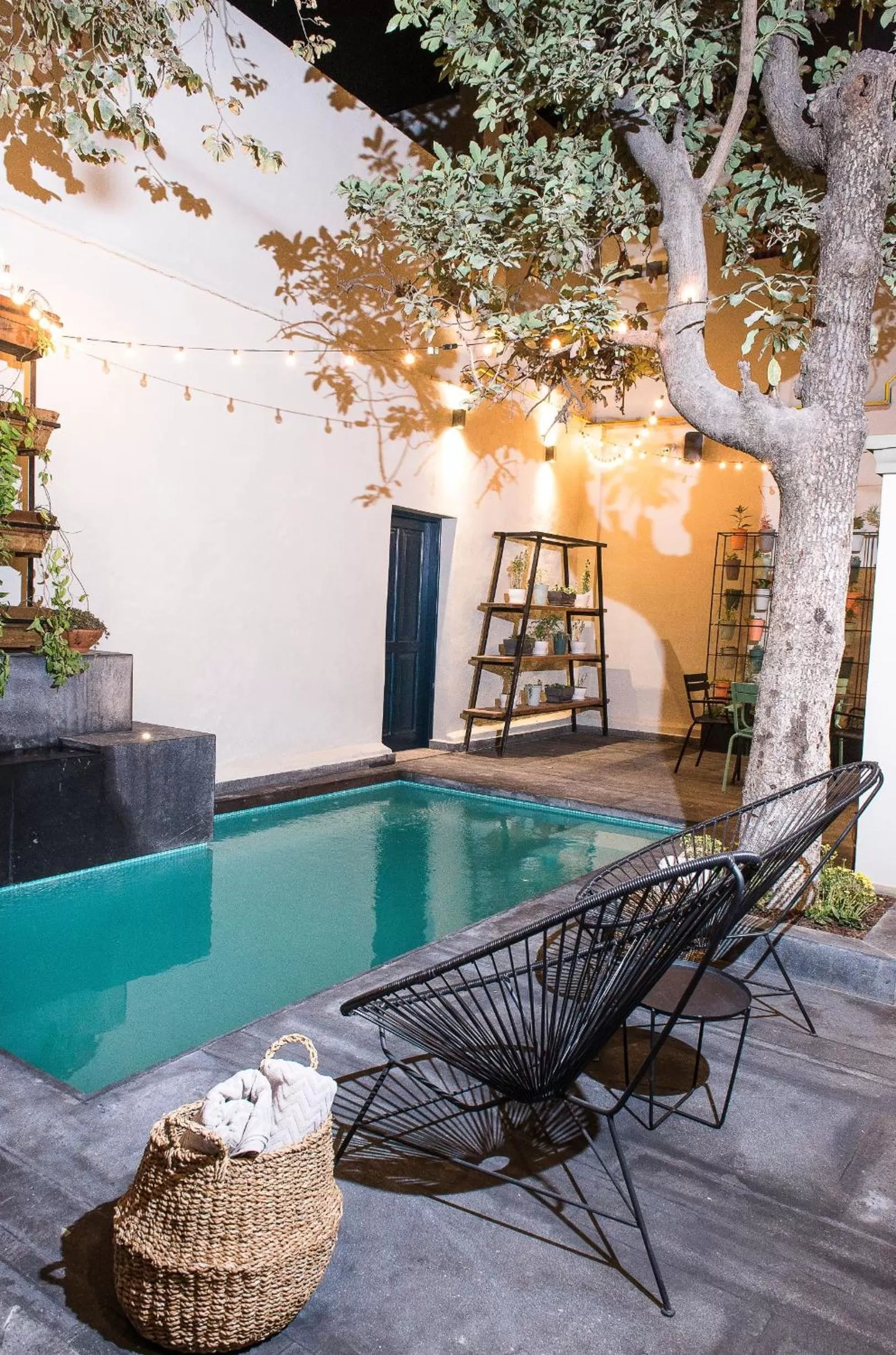 Natural landscape in Antigua Trece Hotel Fusión