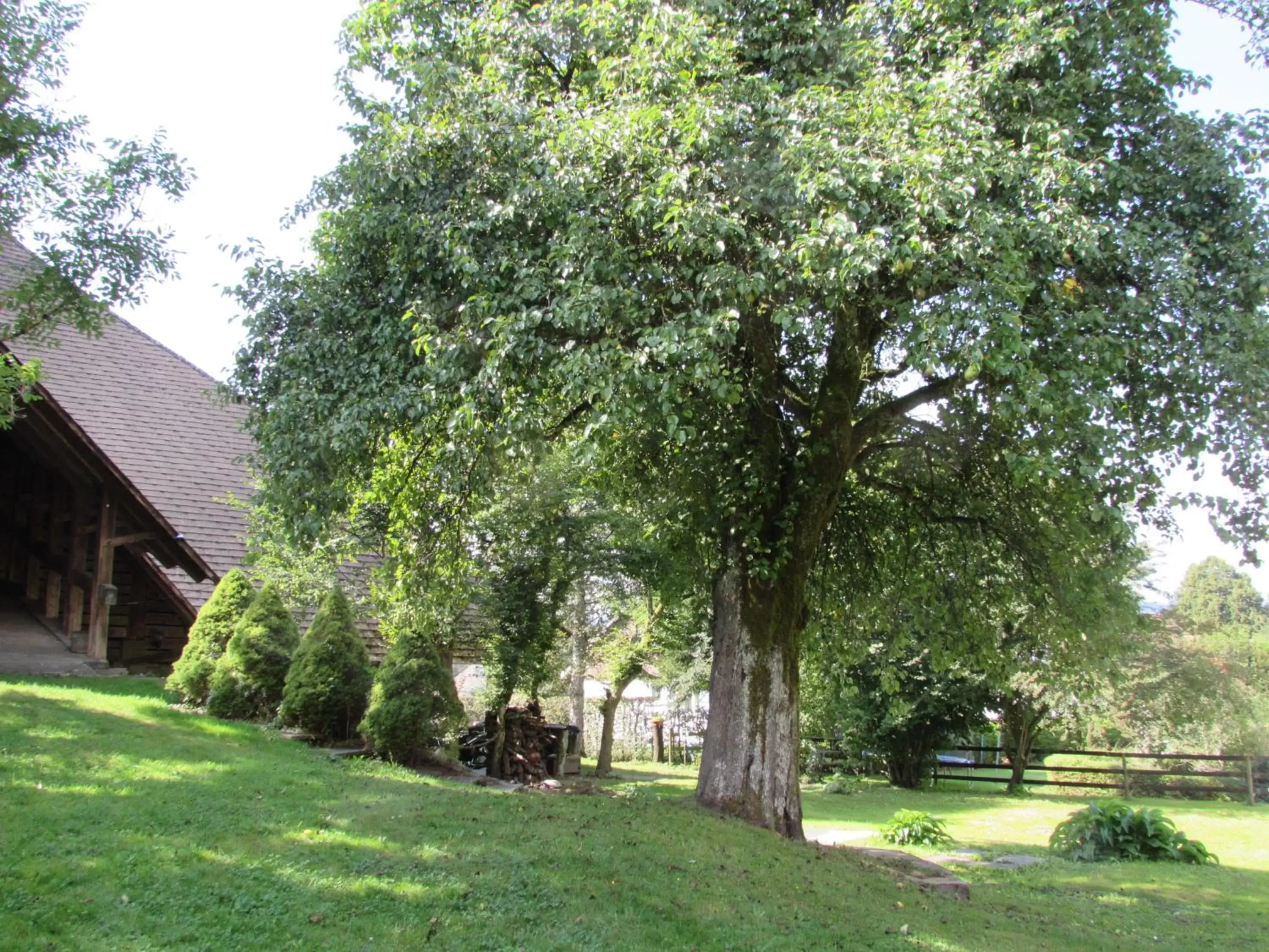 Garden view, Garden in Emme Lodge