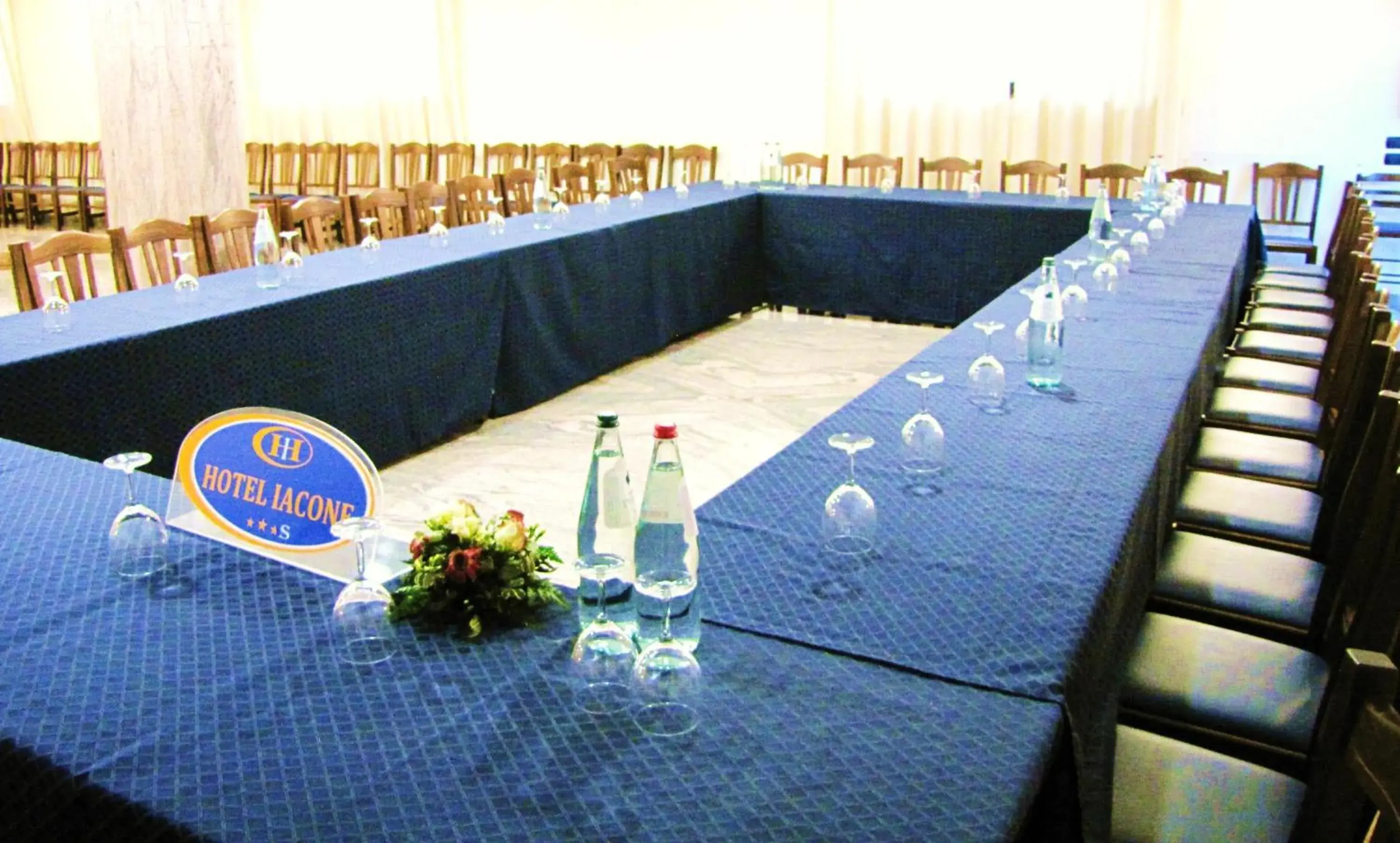 Business facilities in Hotel Iacone