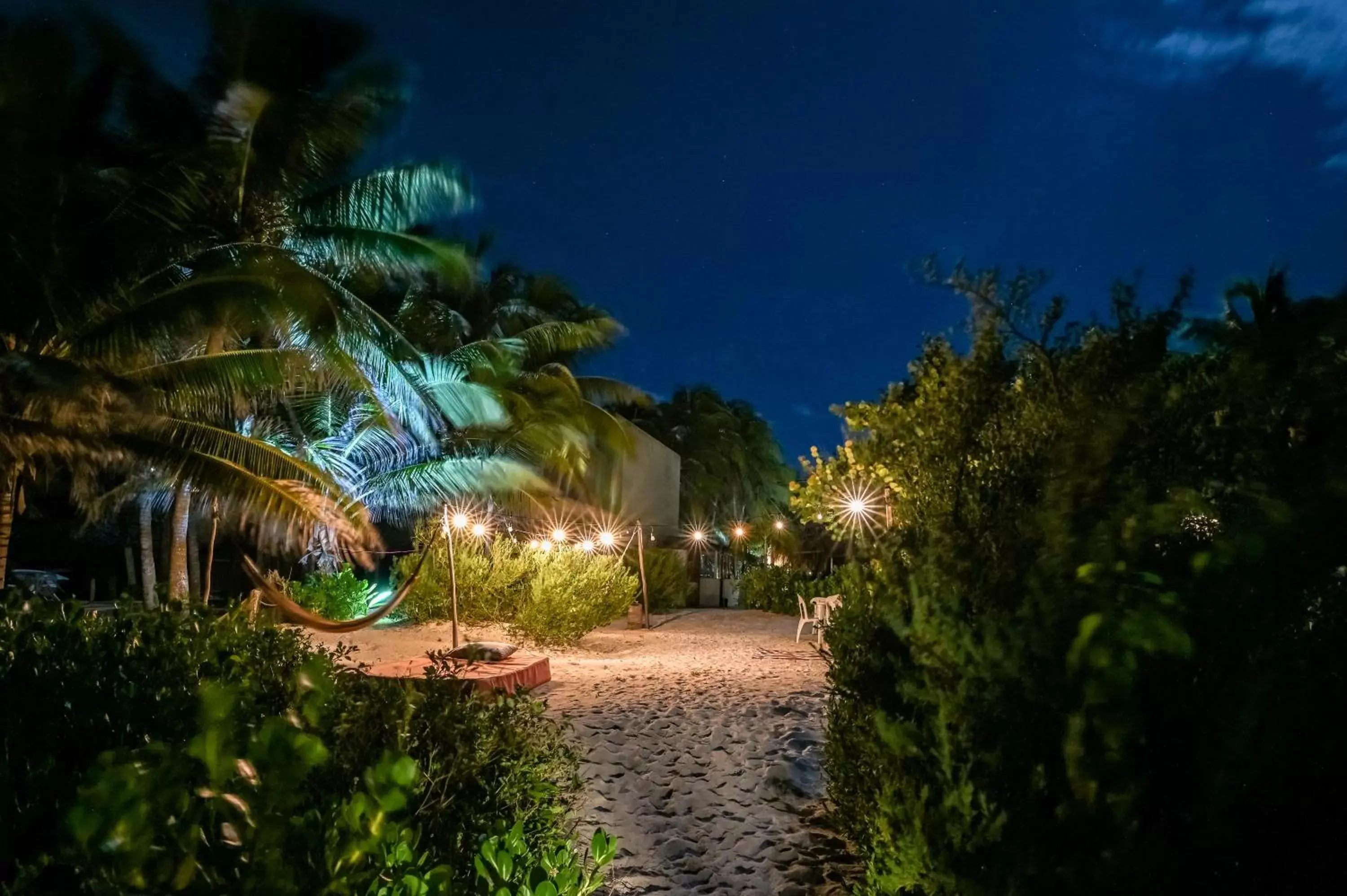 Garden in Casa Mate BeachFront Cabañas El Cuyo